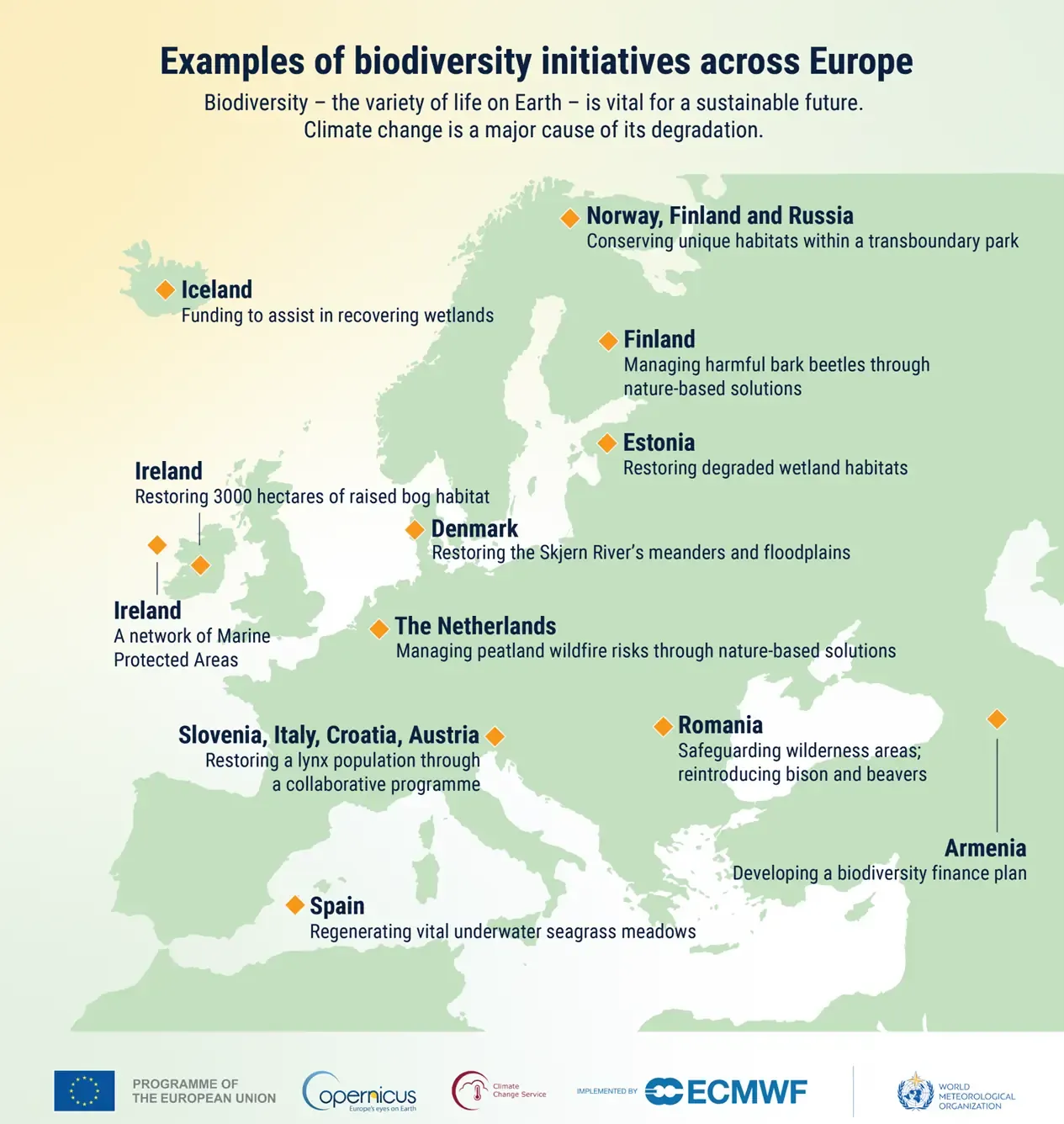 A visual titled 'Examples of biodiversity initiatives across Europe' listing several examples of biodiversity initiatives in different Eruopean countries.