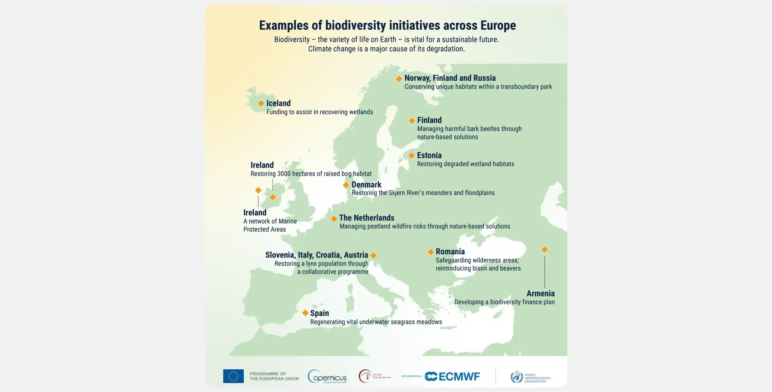A visual titled 'Examples of biodiversity initiatives across Europe' listing several examples of biodiversity initiatives in different European countries.