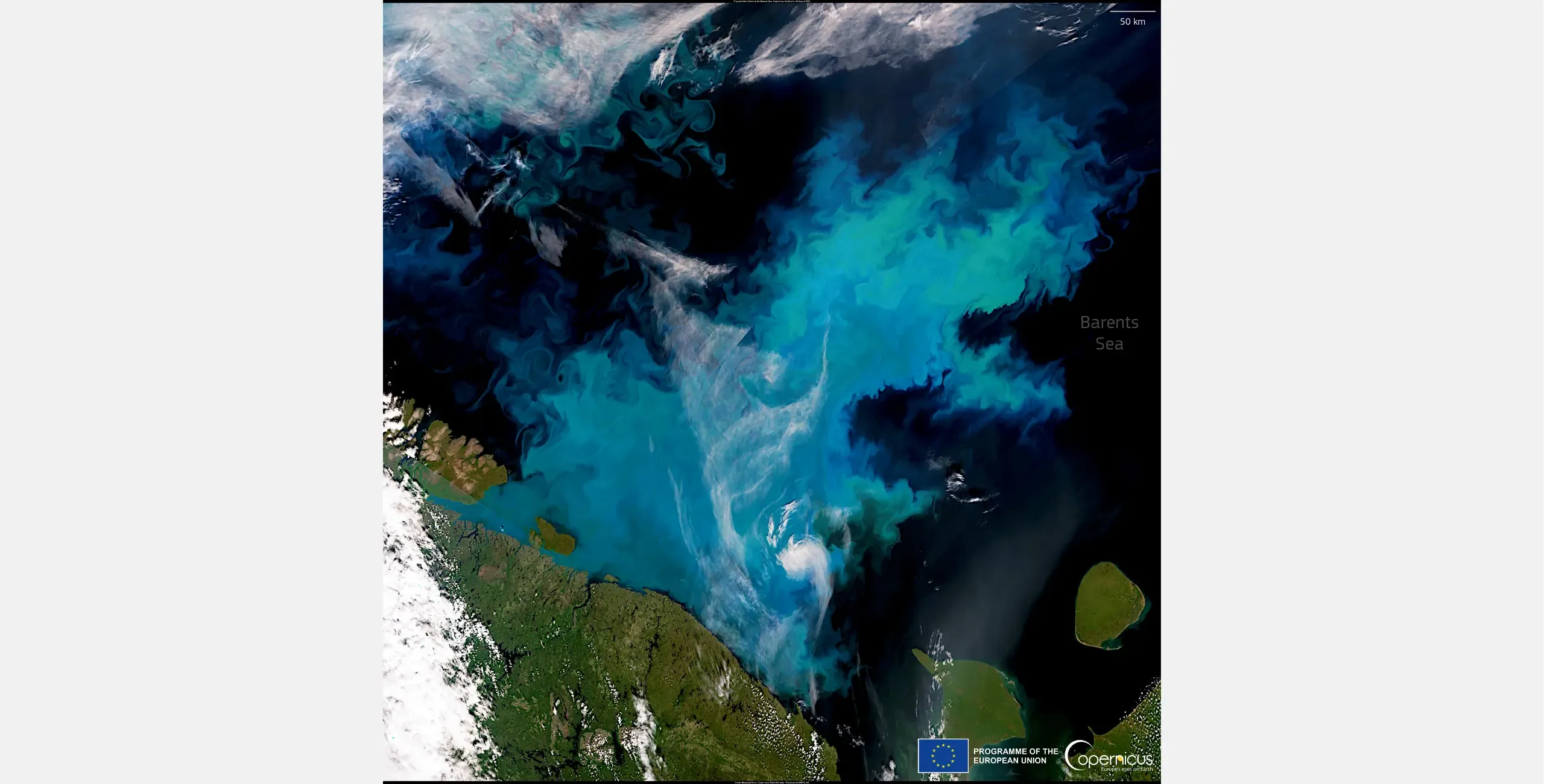 Copernicus Sentinel-3 satellite image showing a large phytoplankton bloom in the Barents Sea, north of the Scandinavian Peninsula. The bloom appears as extensive turquoise and blue-green swirls across the dark blue ocean.
