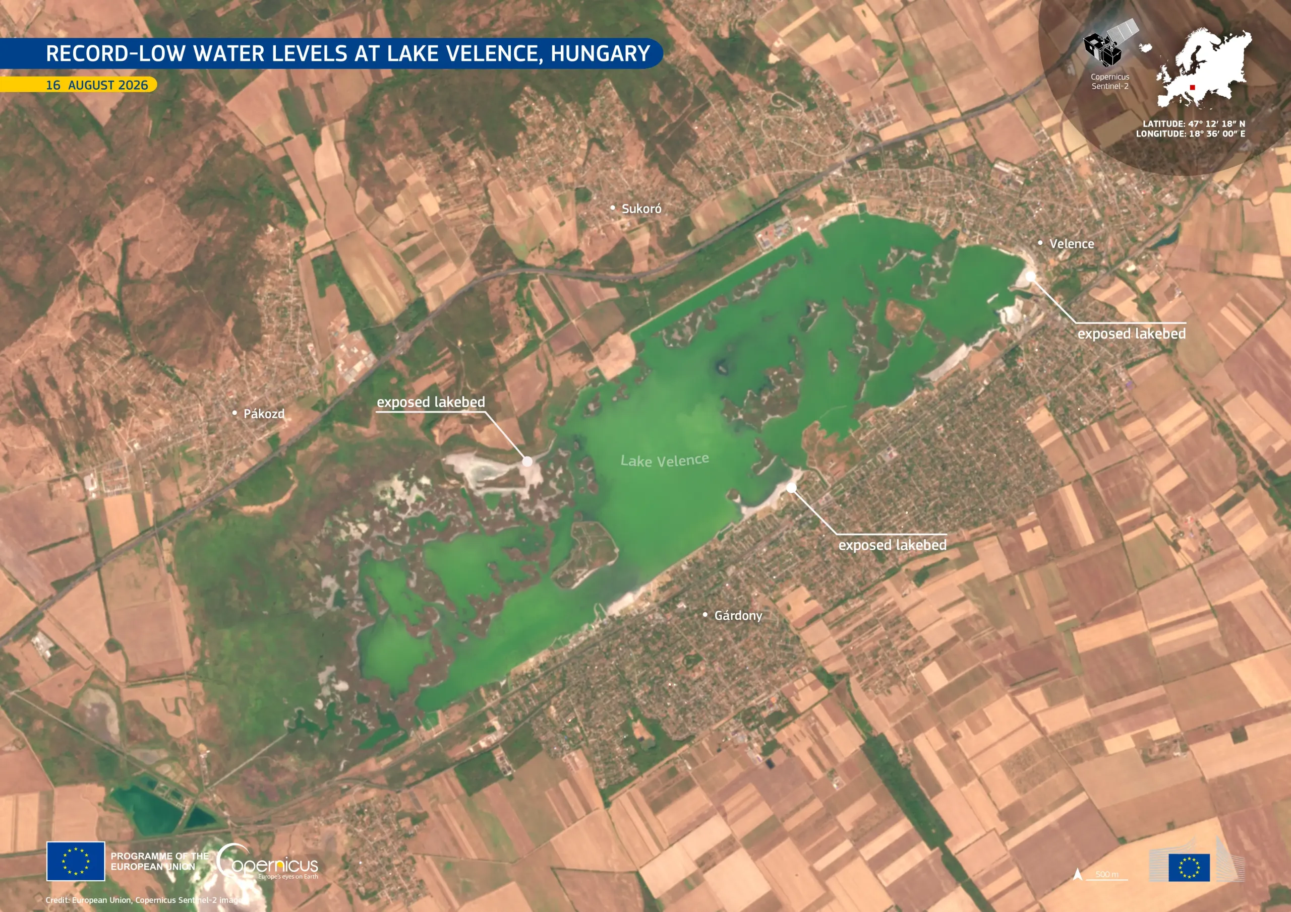 Copernicus Sentinel-2 image acquired on 16 August 2026 showing Lake Velence in central Hungary. The green-coloured lake is surrounded by agricultural land and the settlements of Velence, Gárdony and Sukoró, with shallow shoreline areas visible around parts of the lake.