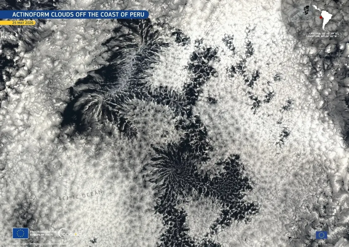 Satellite image of radial, flower-like actinoform cloud patterns over the Pacific Ocean off Peru.