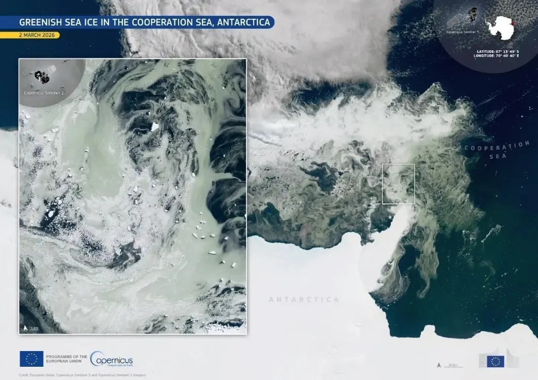 Satellite image of swirling green-tinted sea ice and phytoplankton in the Cooperation Sea near Antarctica, with an inset close-up.