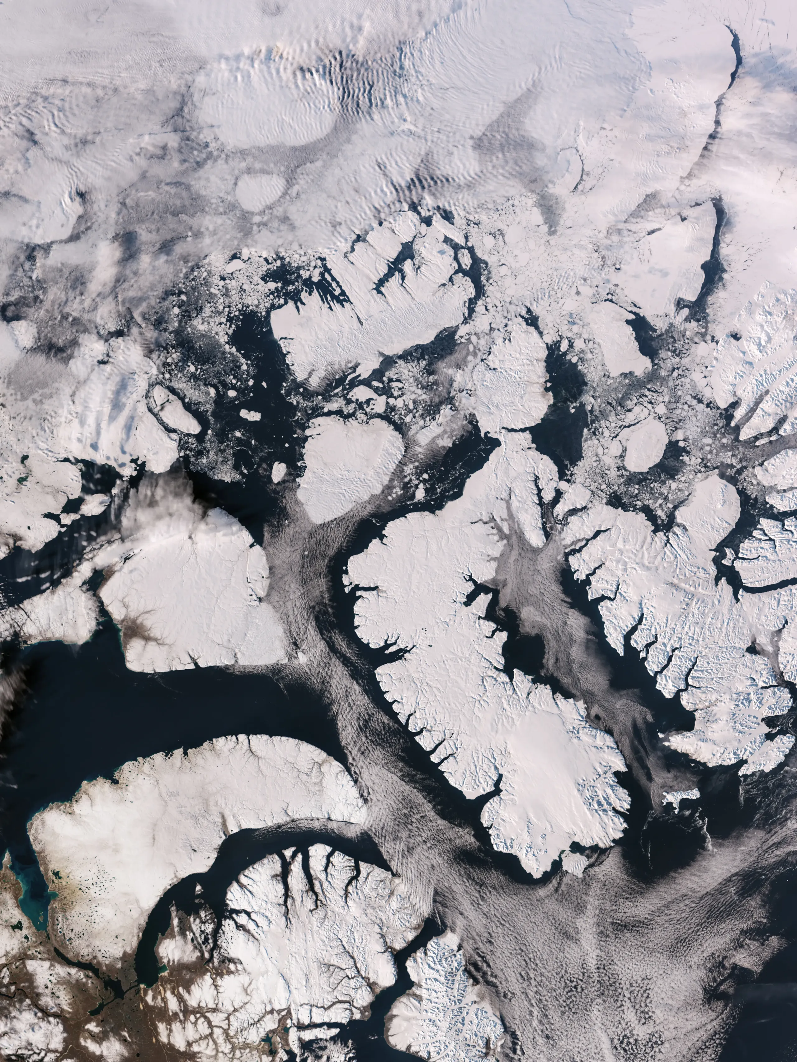 S3C_OLCI_Canadian_Arctic
