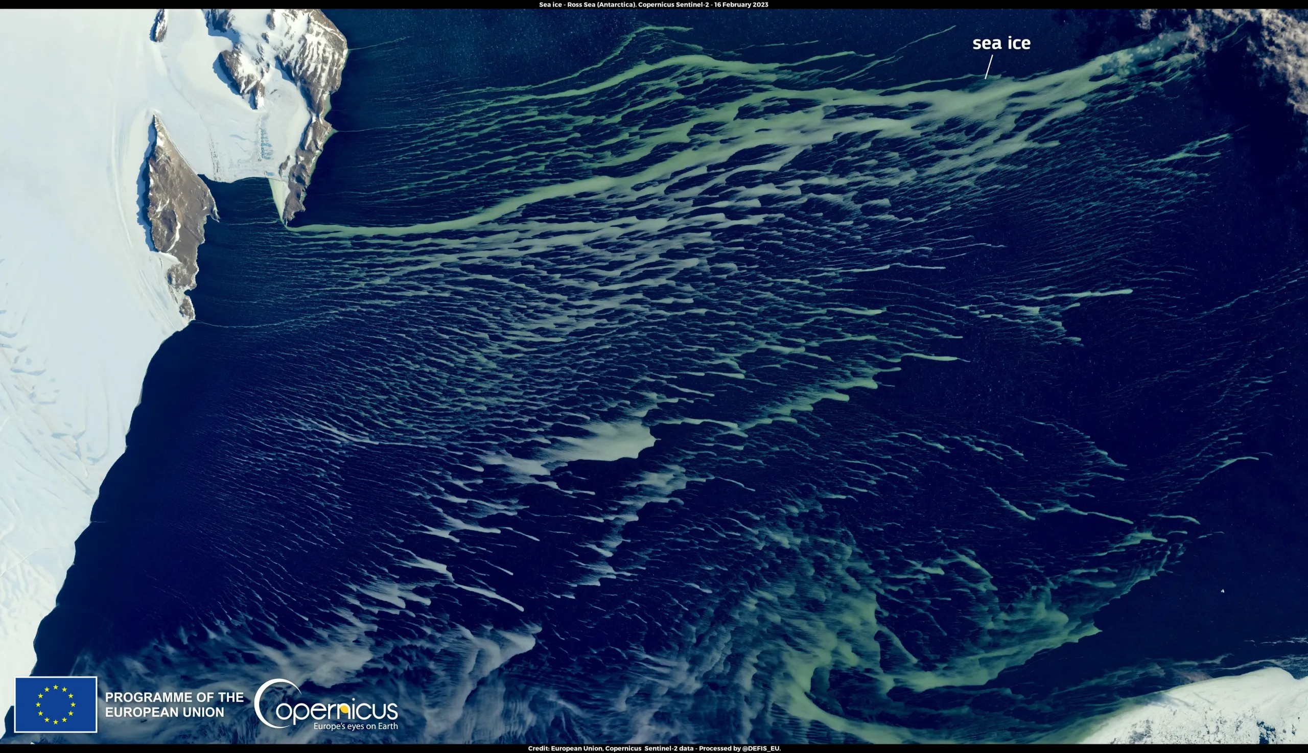 The sea ice coloured green in the Ross Sea