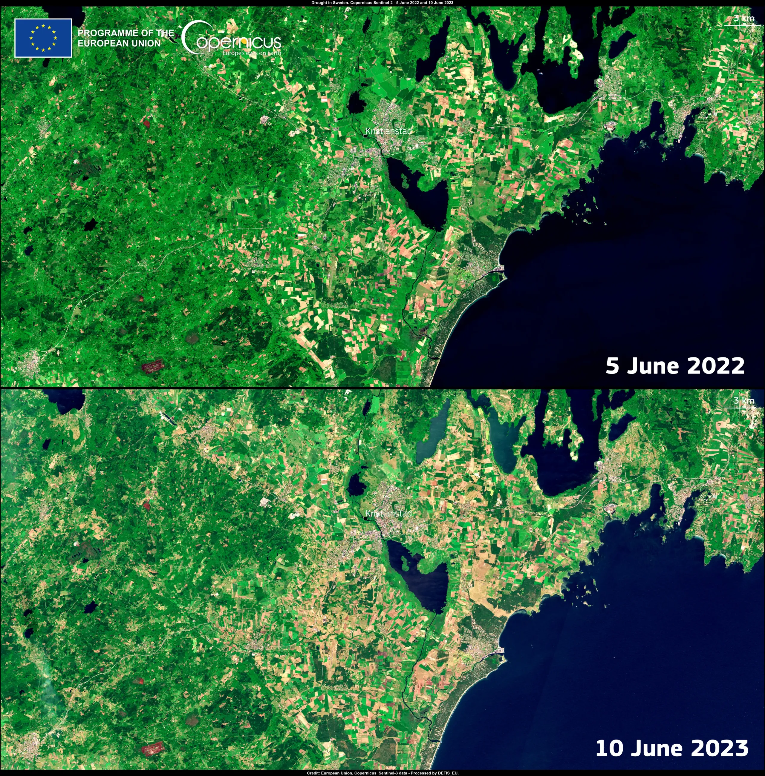 Potential impacts of drought in Sweden