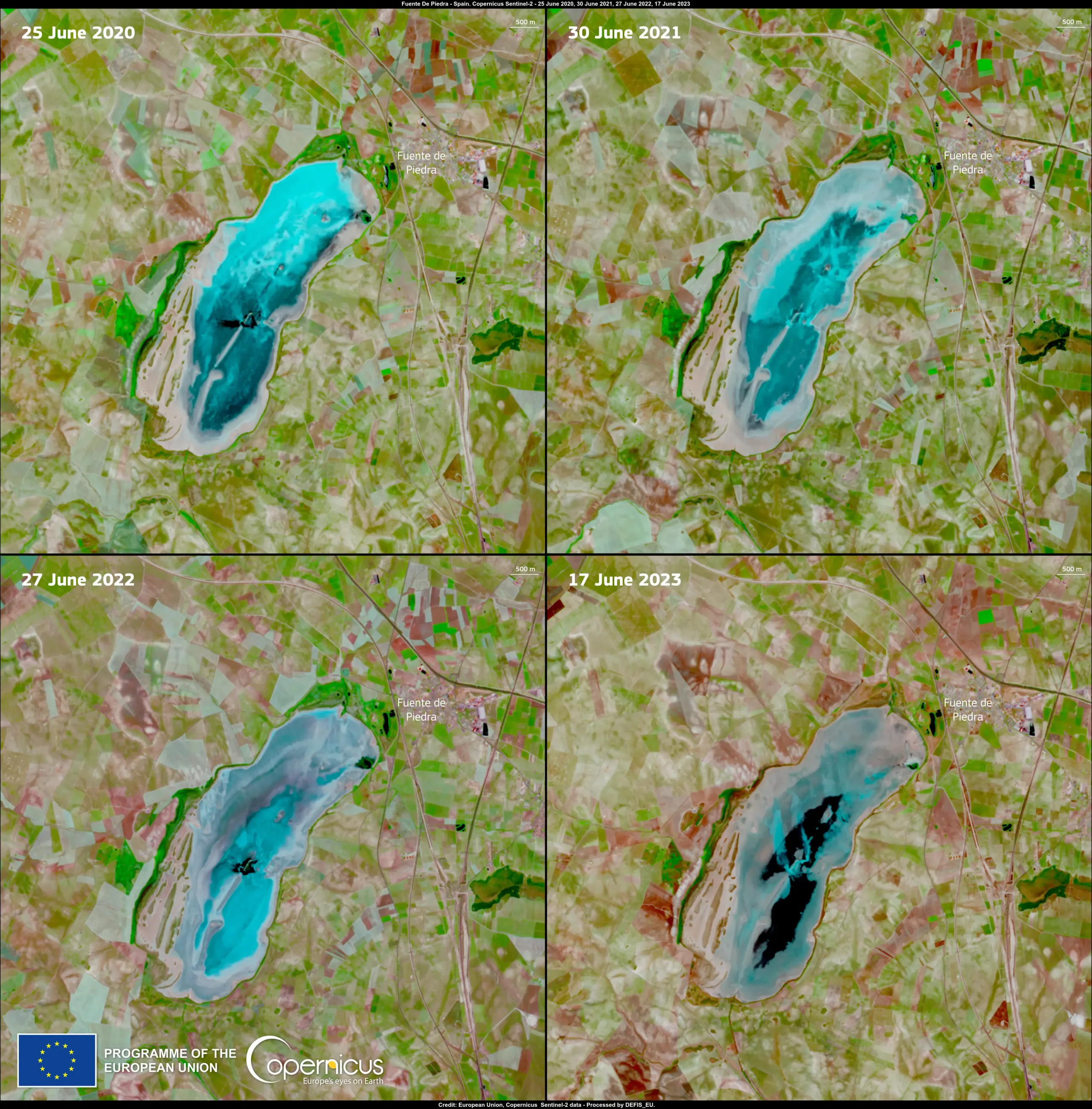 The impact of the drought on the Fuente de Piedra wetlands in Spain