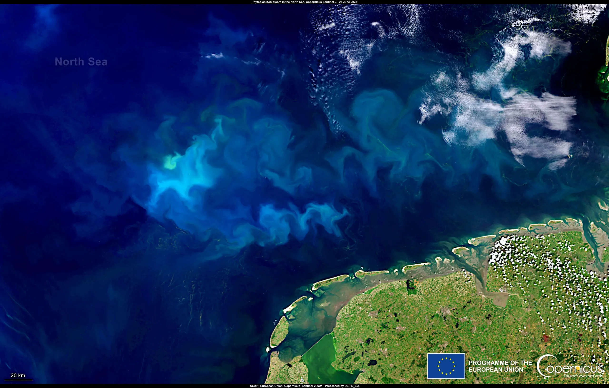 Phytoplankton blooms in the North Sea