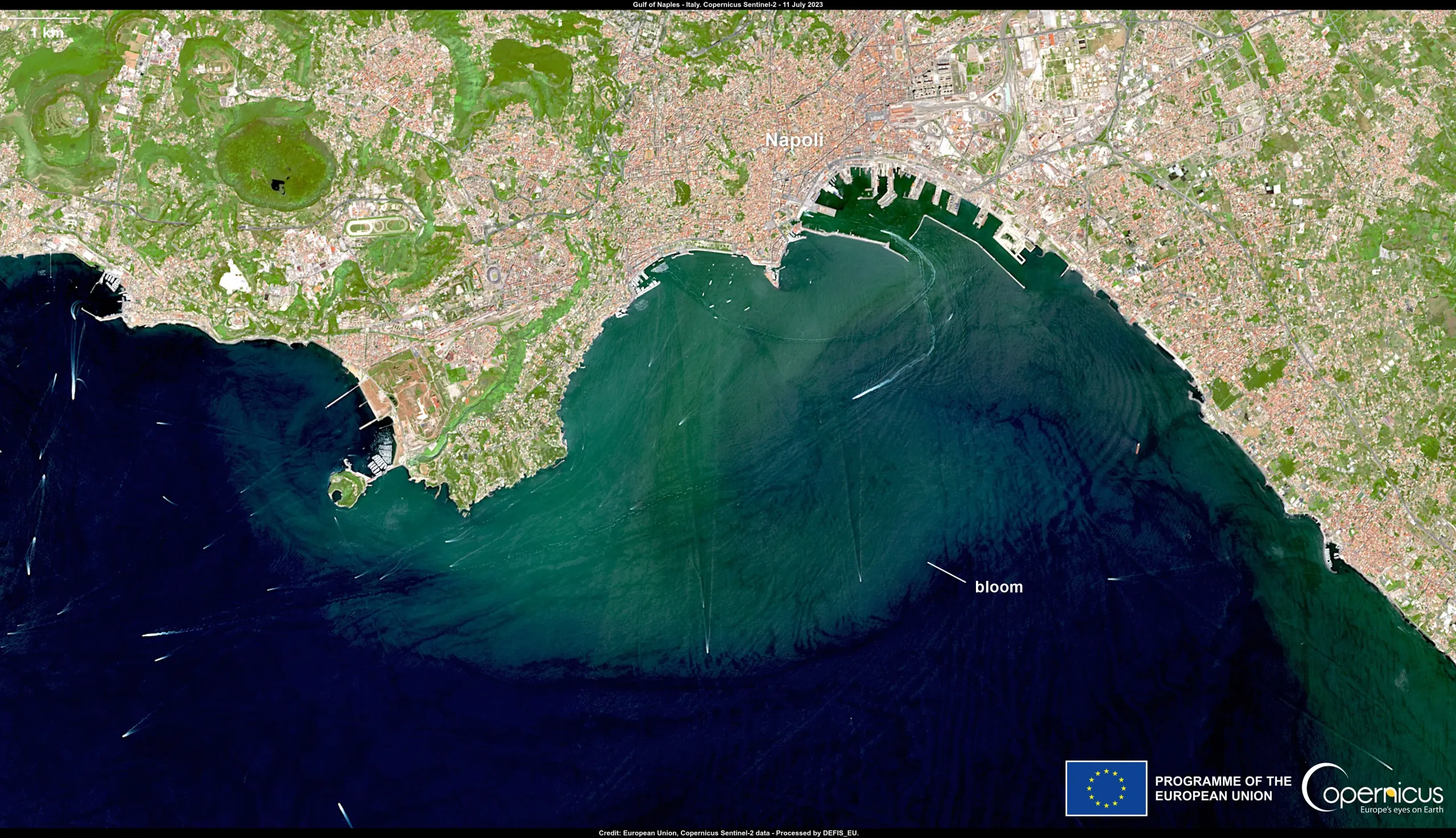Phytoplankton bloom in the Napoli Gulf