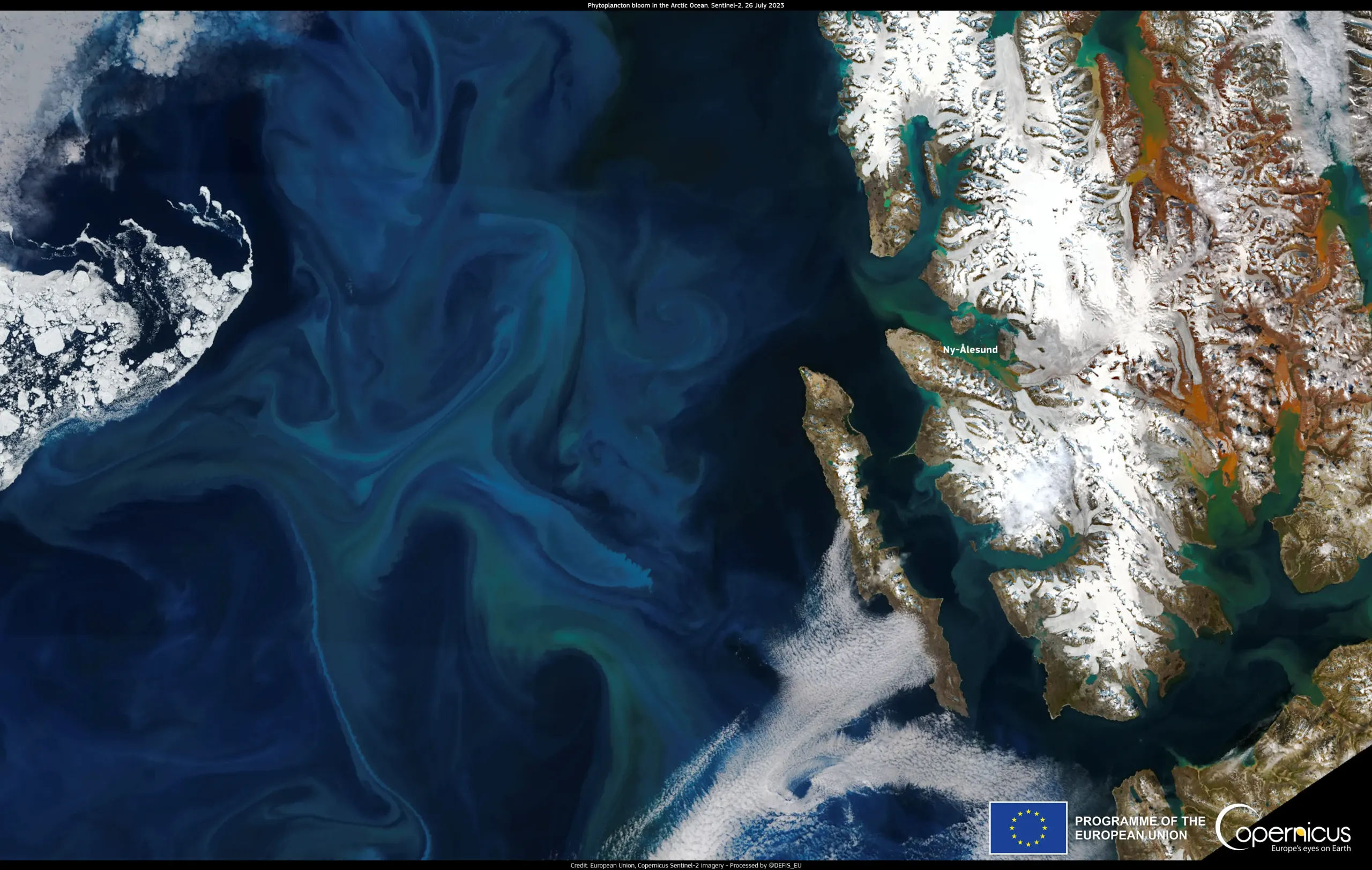 Phytoplankton bloom in the arctic ocean in July 2023
