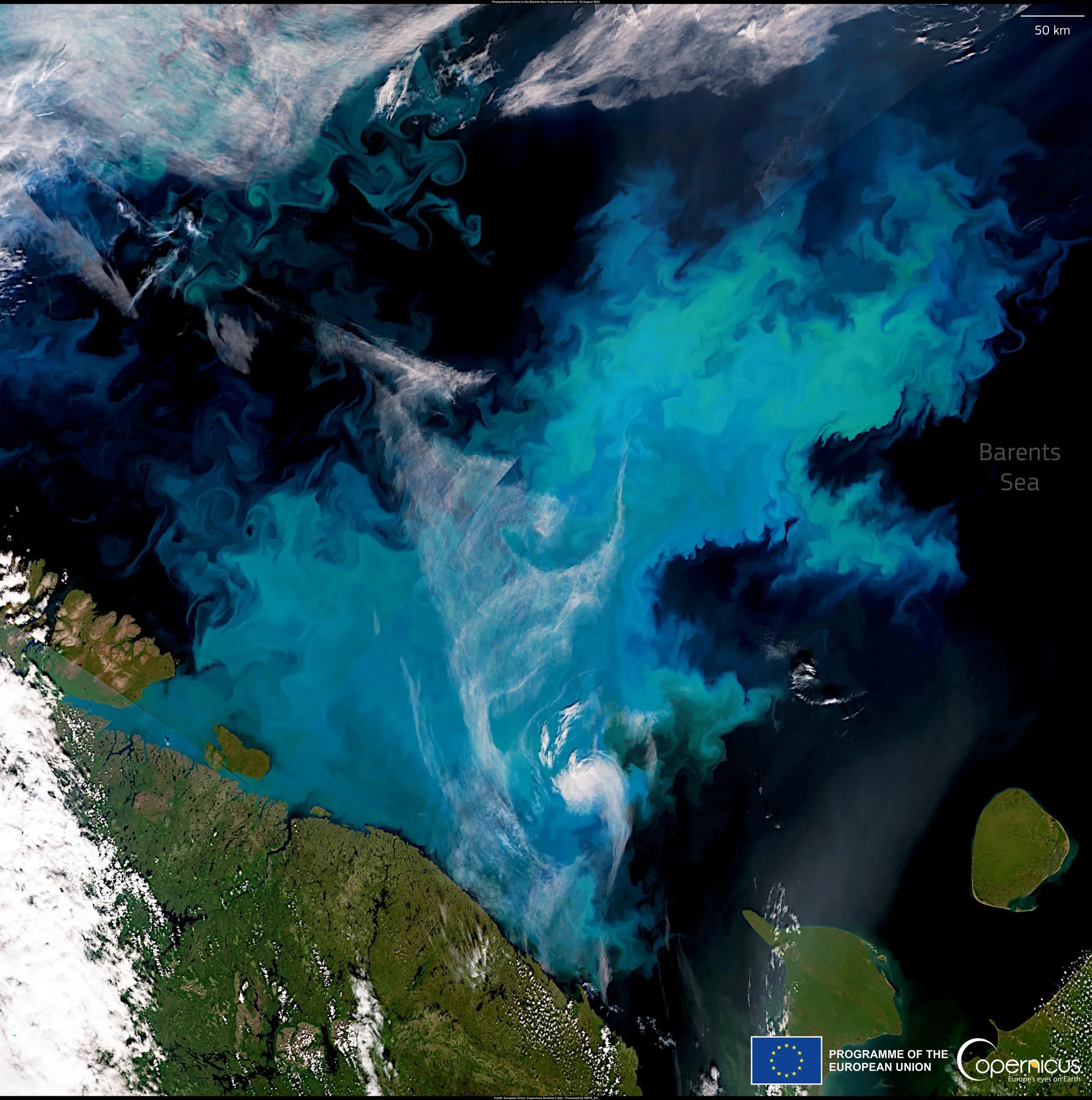 Large phytoplankton bloom in the Barents Sea