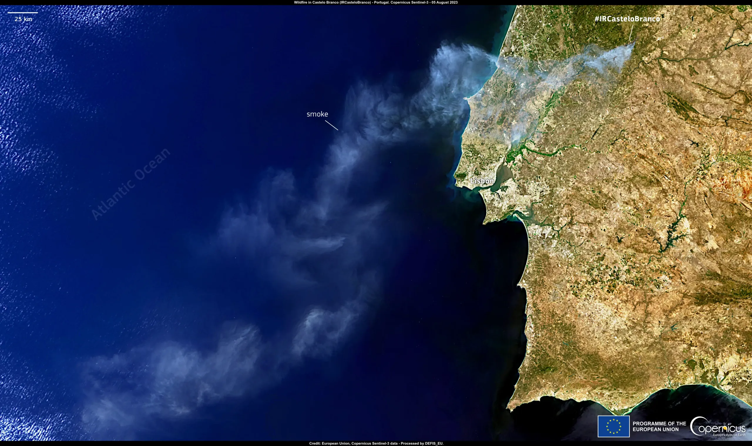 A wildfire strikes in  Castelo Branco, Portugal