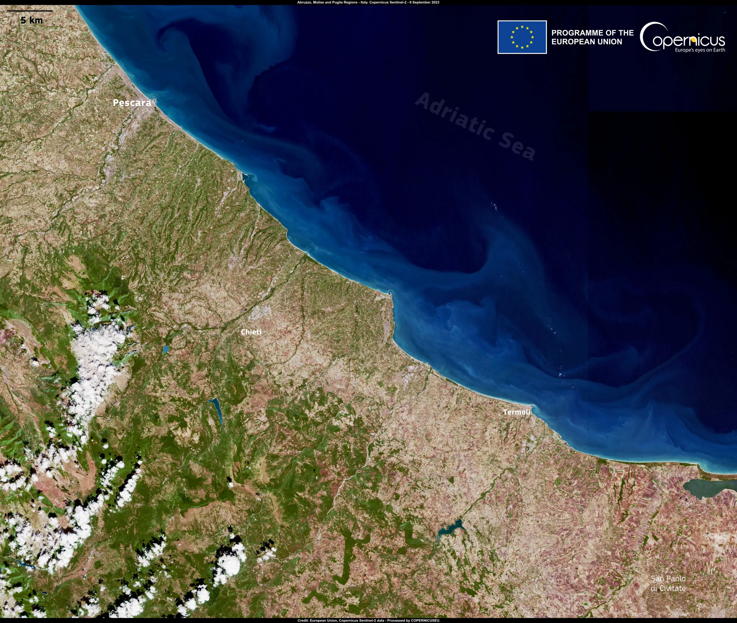 Wine production in Italy is at risk