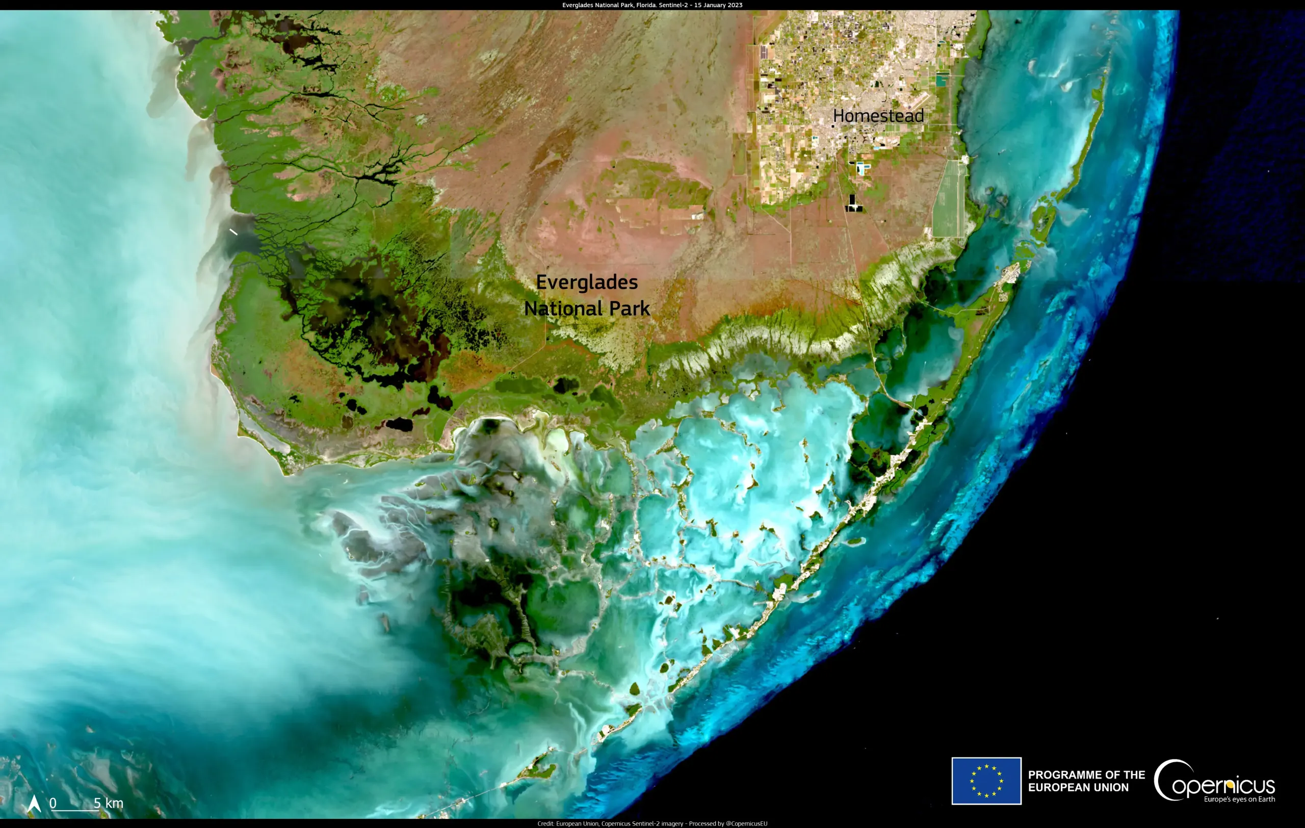 Everglades National Park on World Migratory Bird Day
