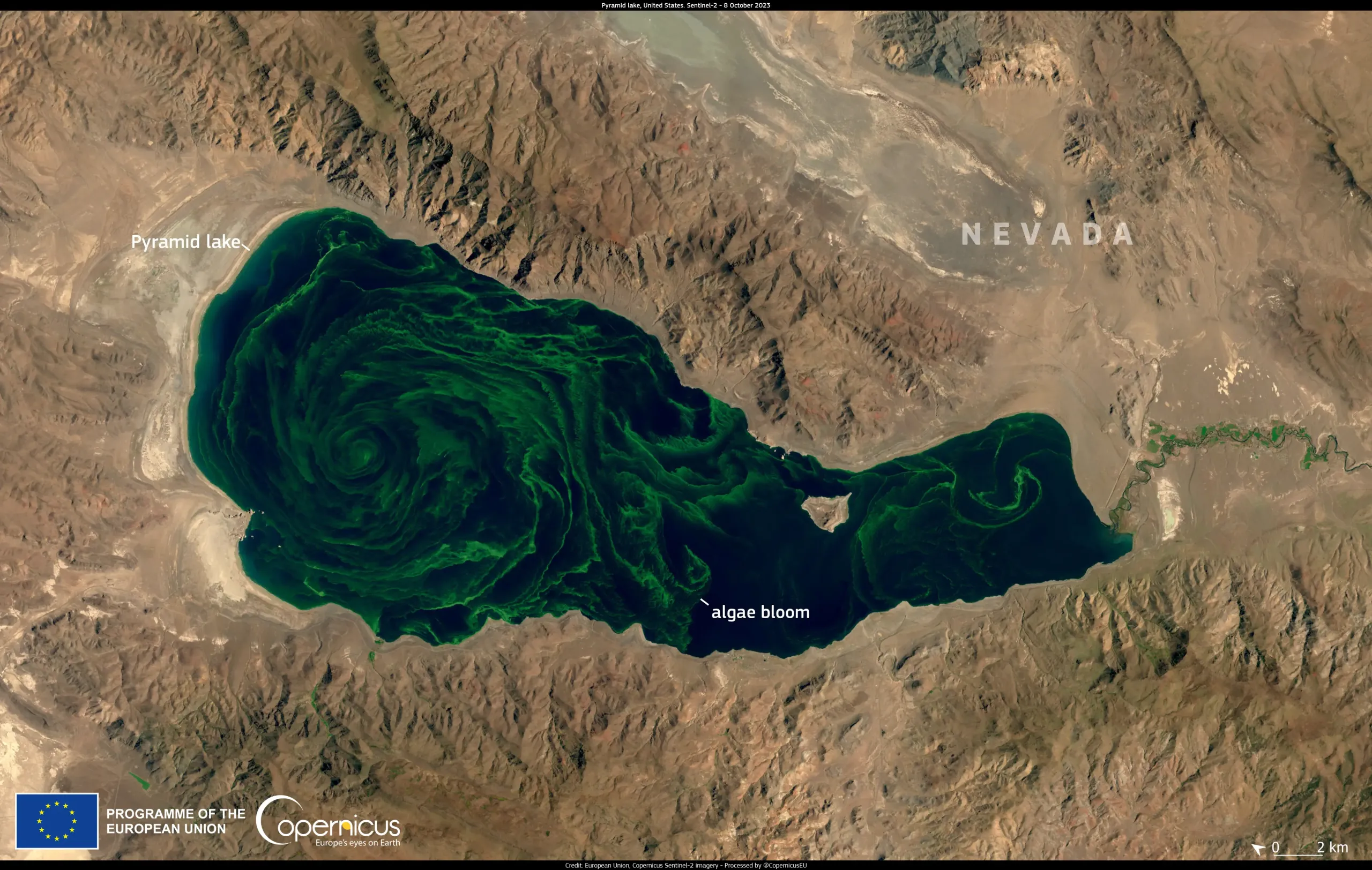 Algae bloom in Pyramid Lake
