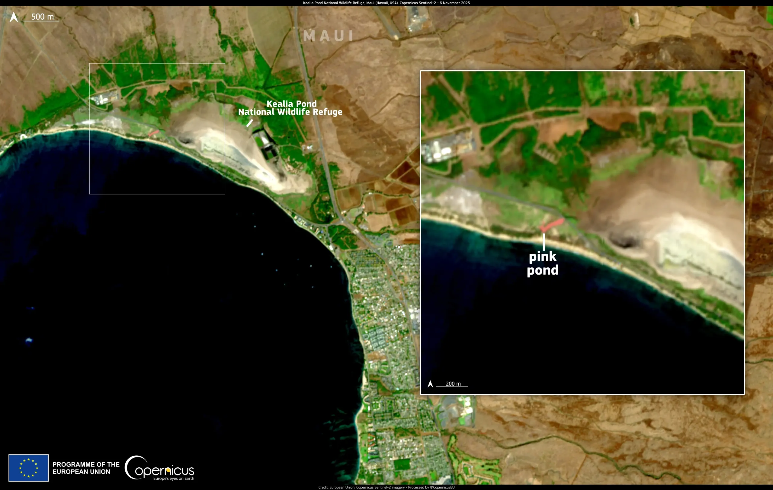 Pink Transformation: The Recent Phenomenon of a Brightly-Hued Pond in Maui