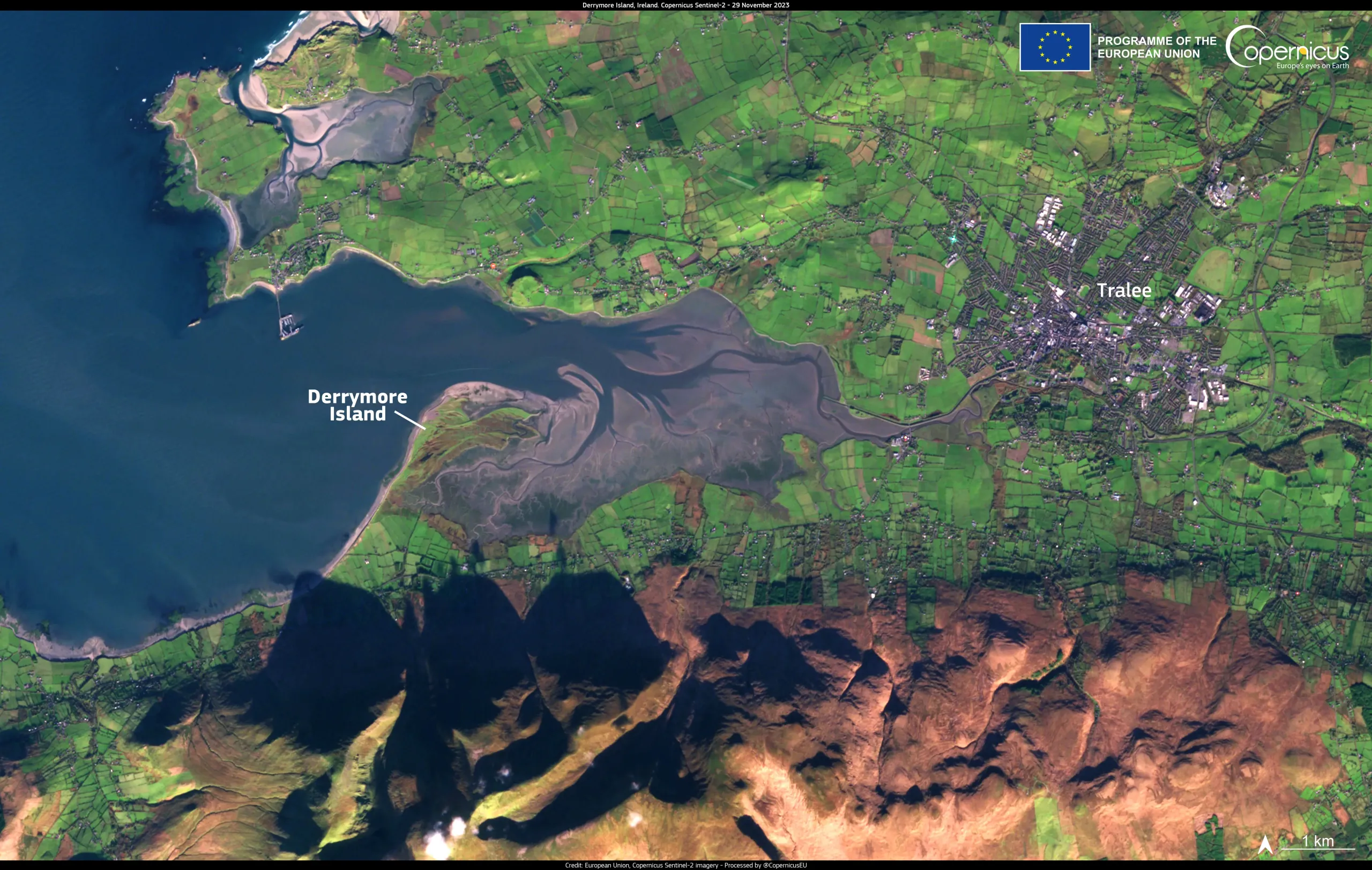 Derrymore Island marshes, important carbon retainers in Ireland