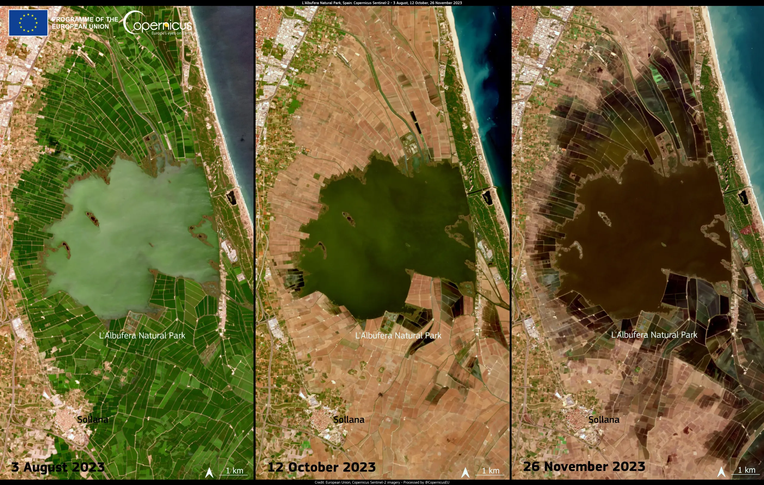 The waters of Spain’s Albufera lagoon change colour