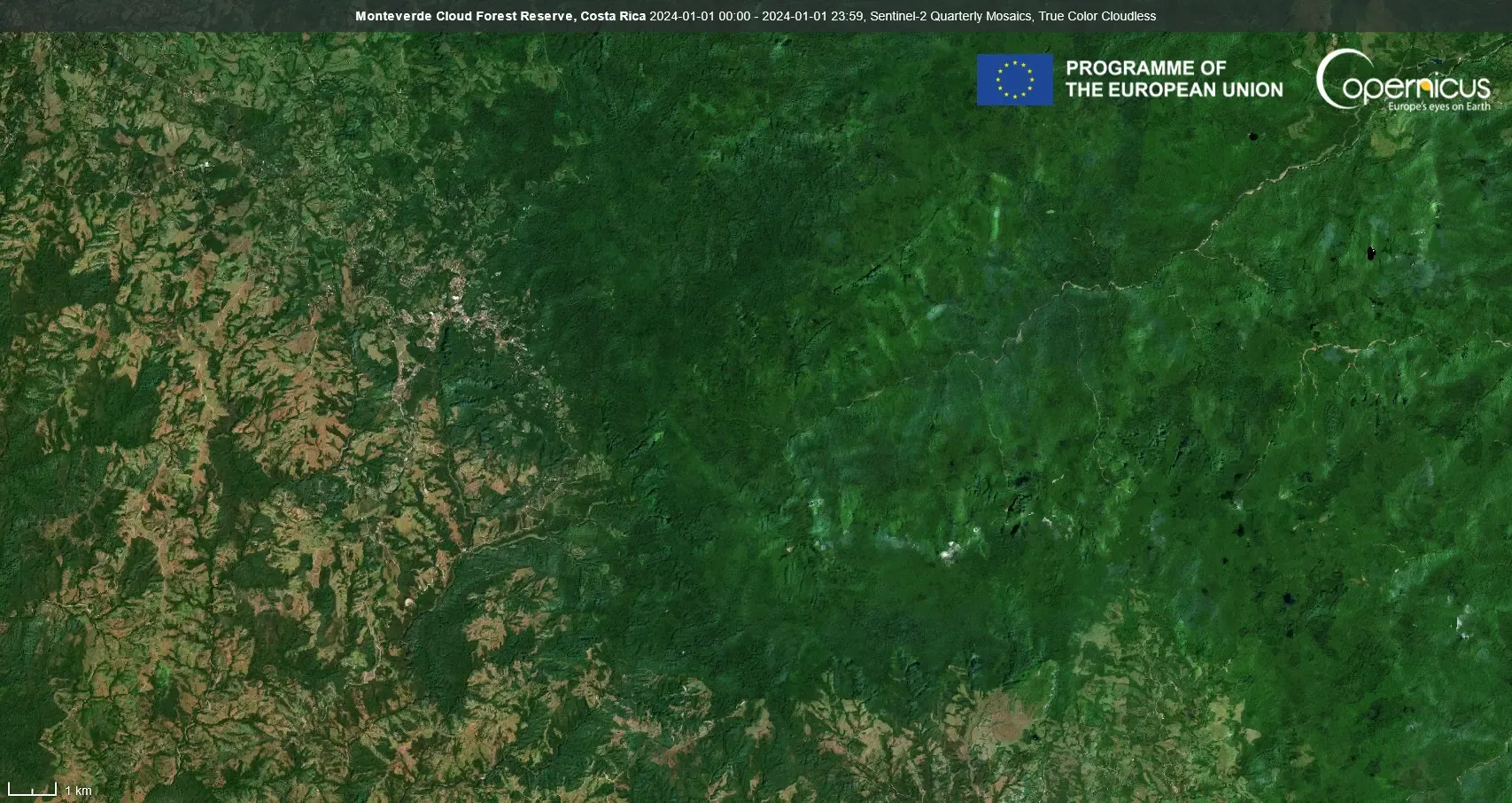 Monteverde Cloud Forest Reserve