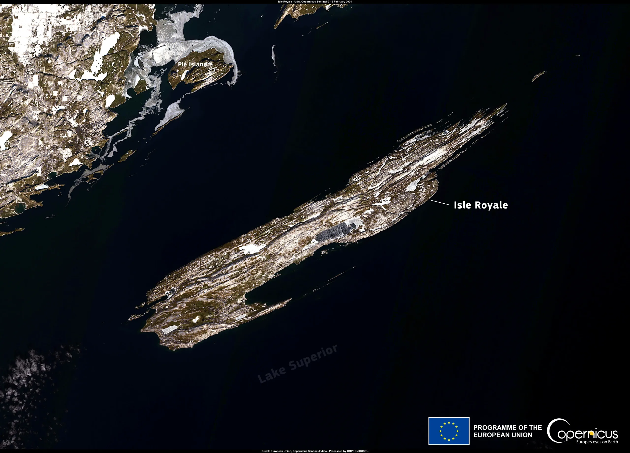 Warm weather prevents annual wolf count on Isle Royale