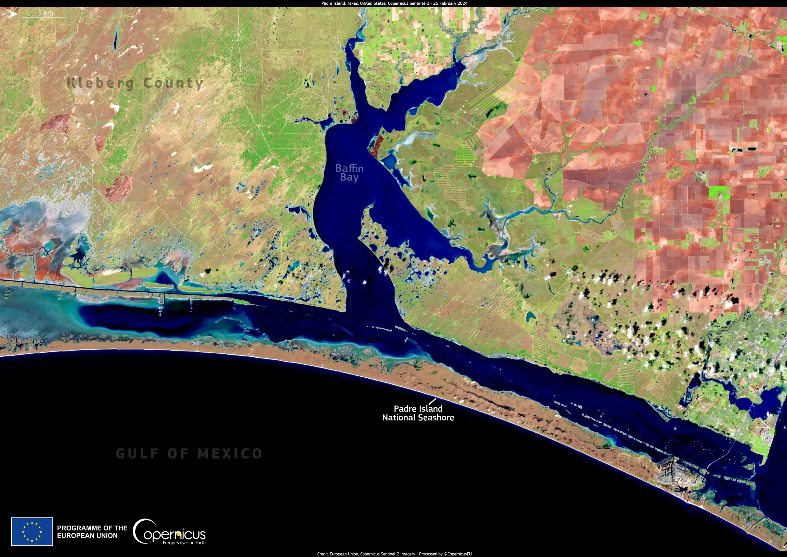 Gulf of Mexico Seagrass Under Threat
