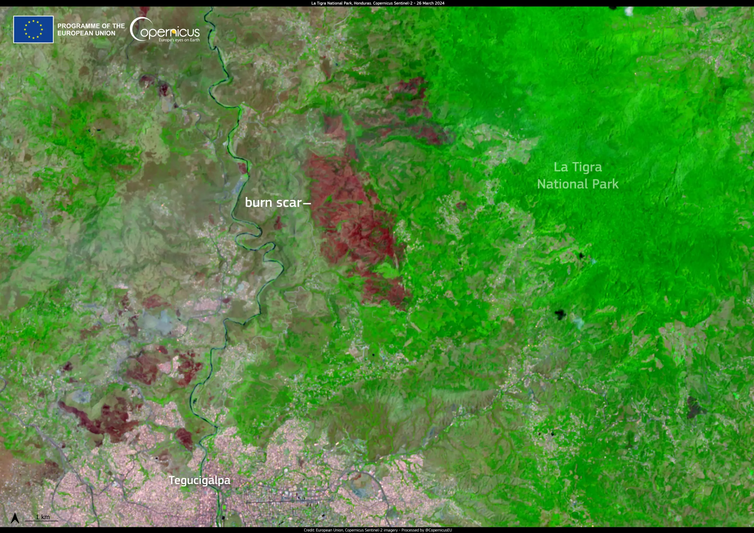 Wildfire in La Tigra National Park