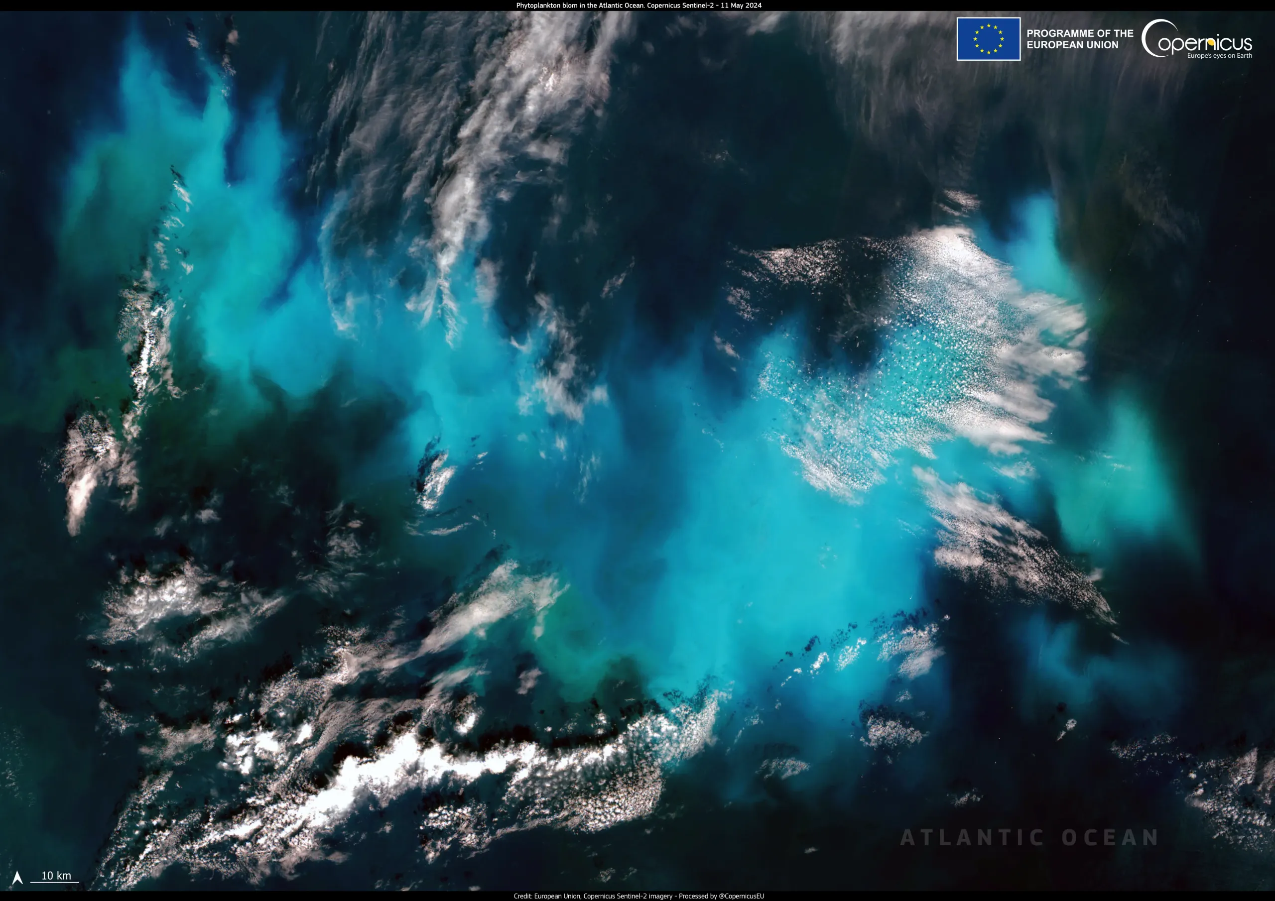 Large phytoplankton bloom in the Atlantic Ocean