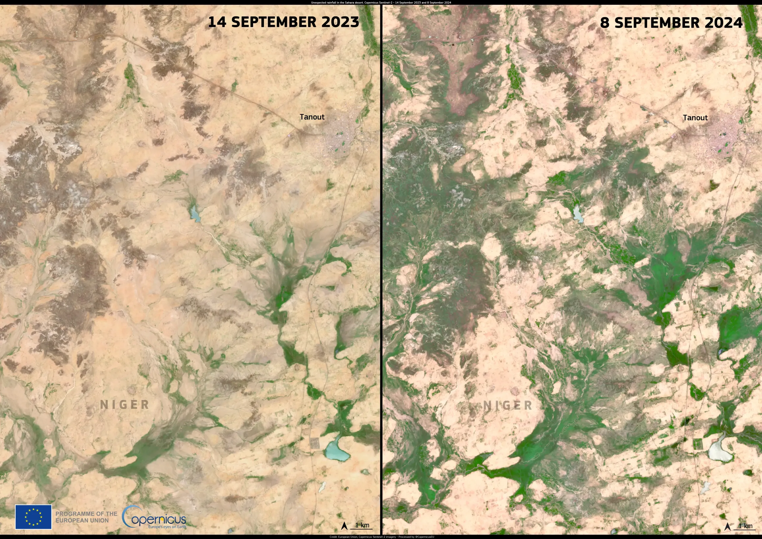 Unusual rainfall in the Sahara Desert