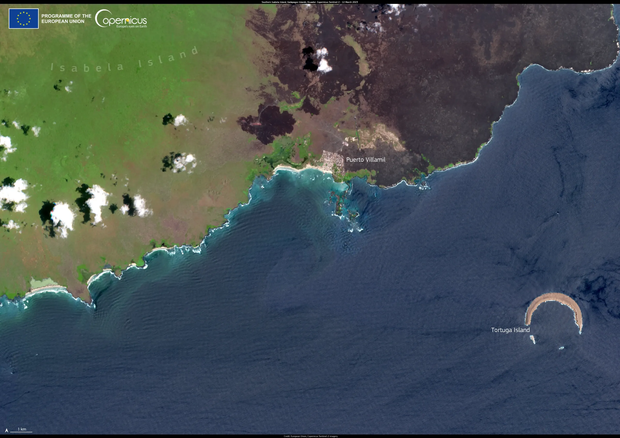 Biodiversity in the Galapagos Islands, Ecuador