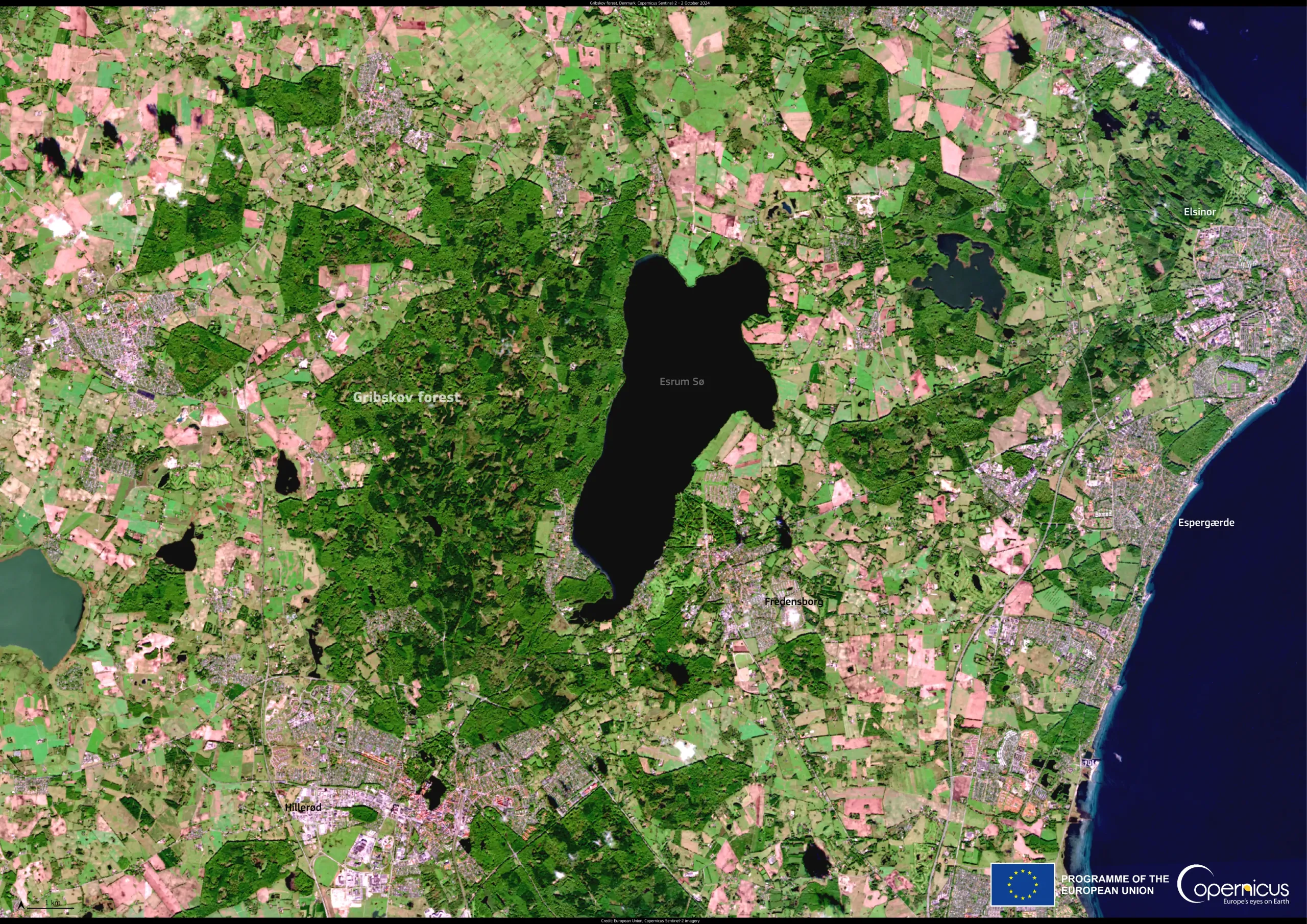 Protecting biodiversity in Gribskov, Denmark