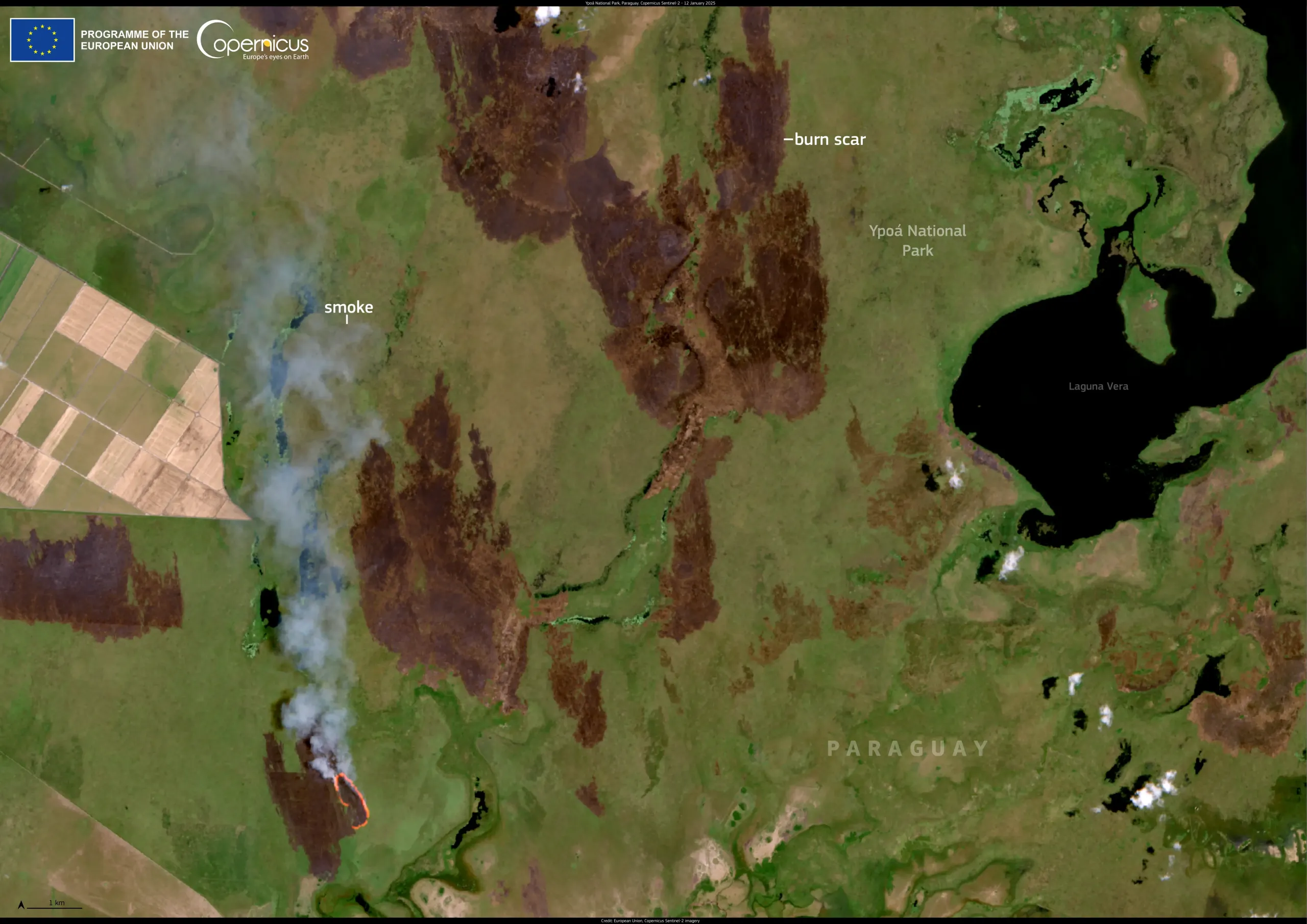 Wildfires affect Ypoá National Park, Paraguay