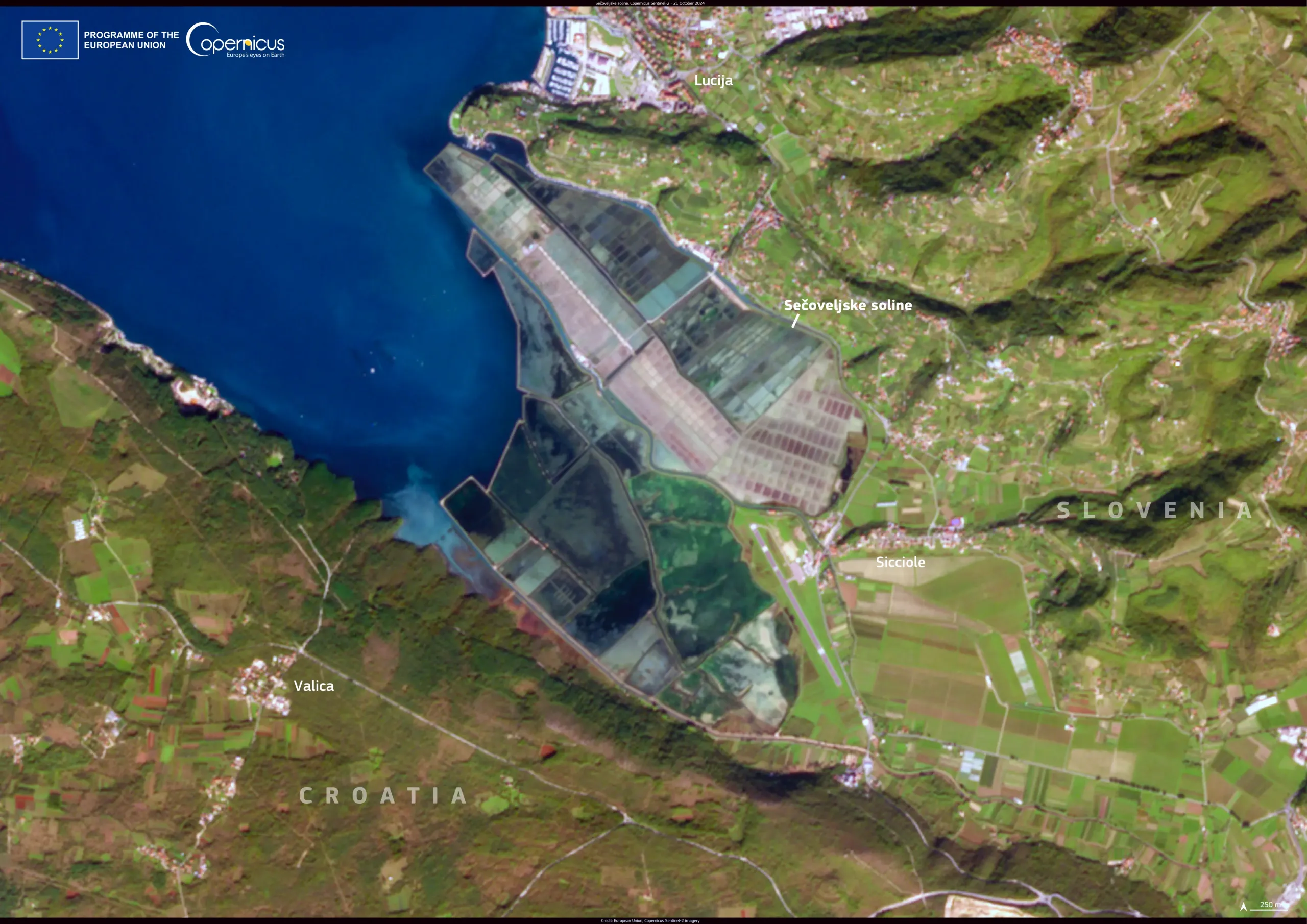 Celebrating the Secoveljske soline wetlands in Slovenia on World Wetlands Day