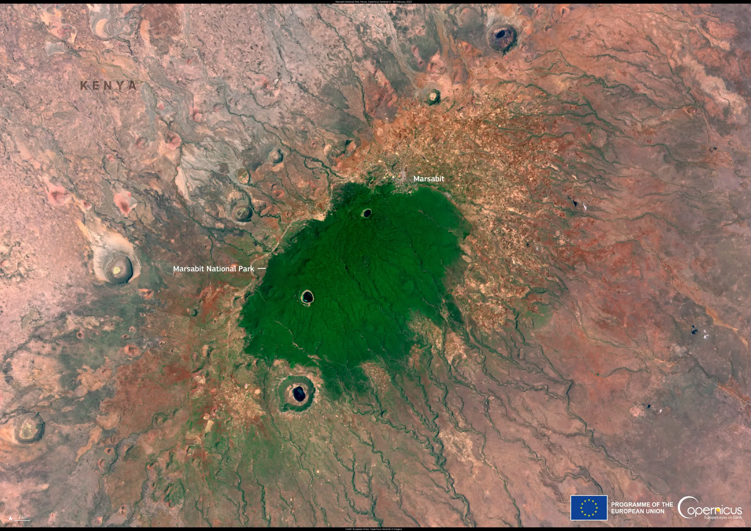 The Marsabit National Park, Kenya