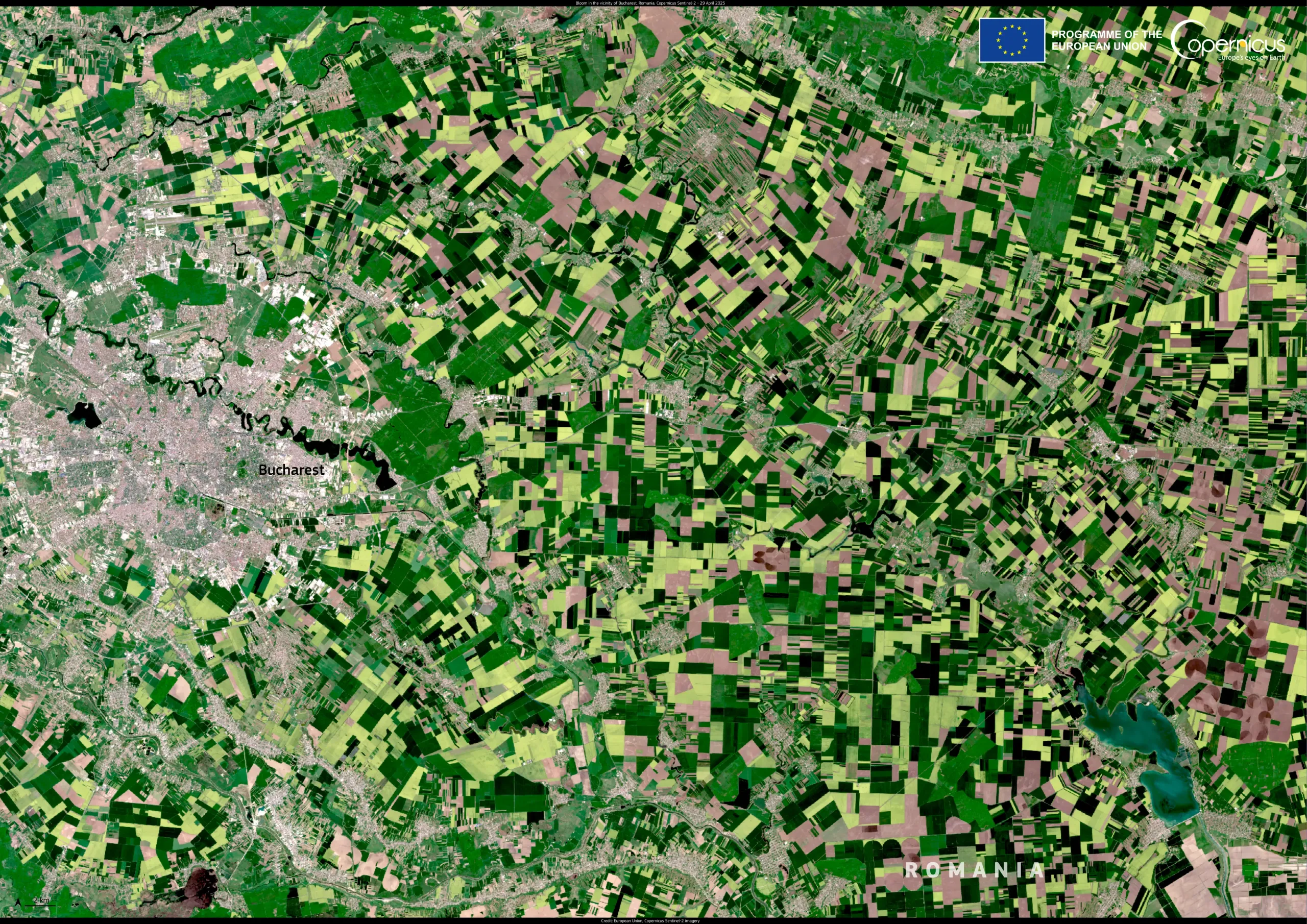 Agricultural blooms, Romania