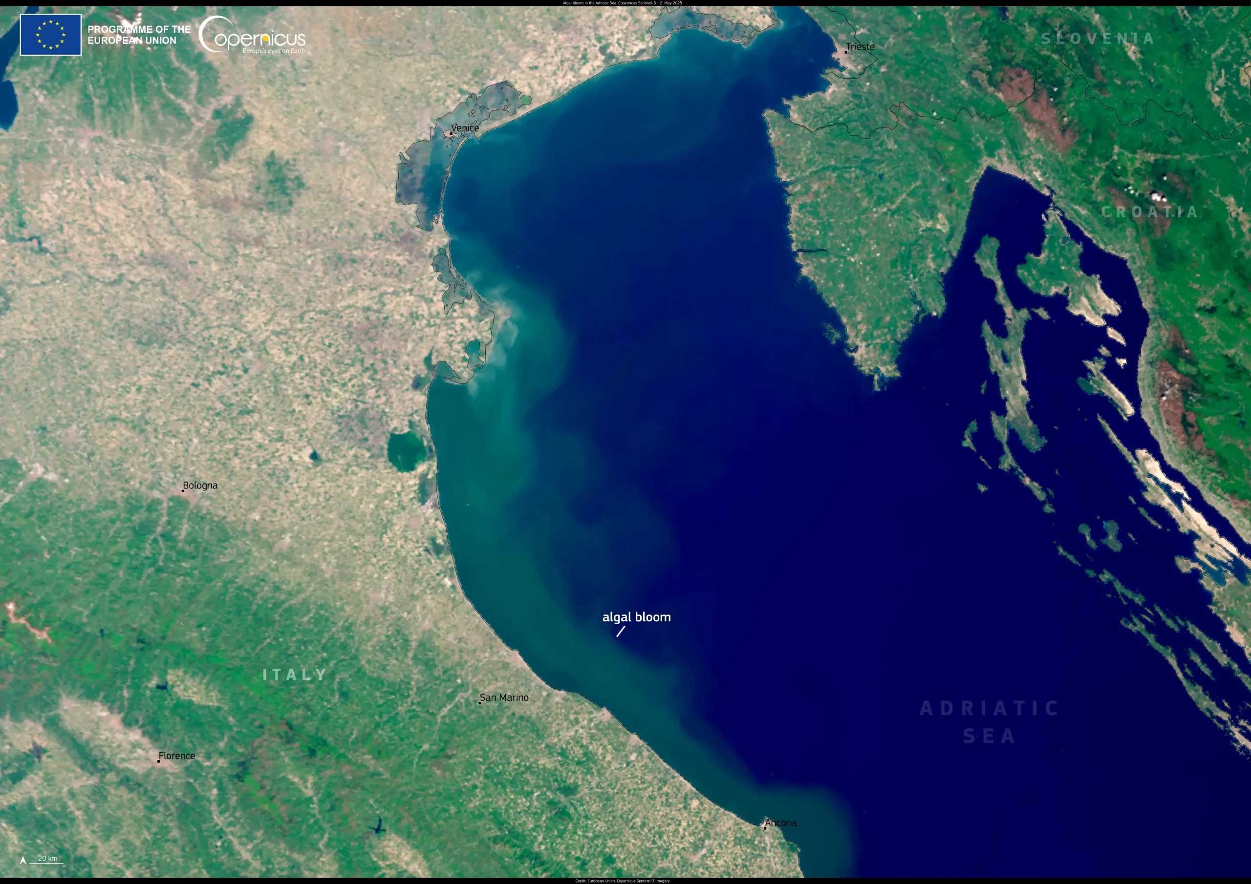 Algal bloom in the Adriatic Sea
