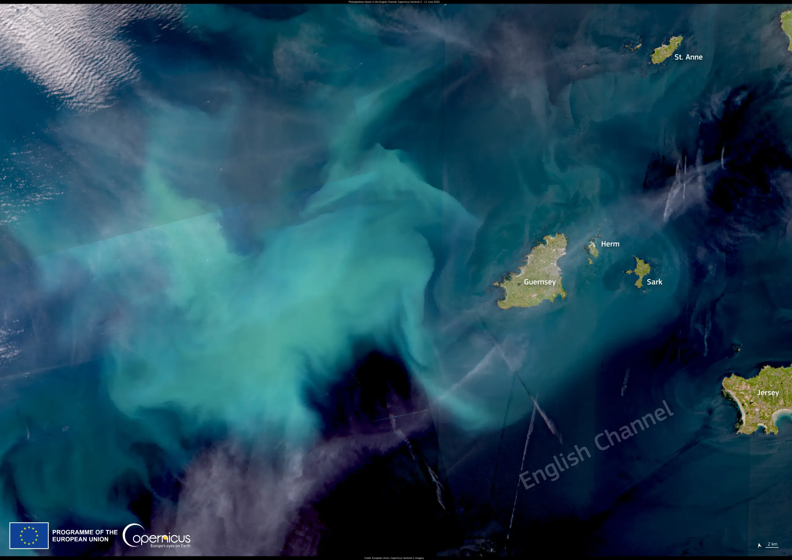 Phytoplankton bloom in the English Channel