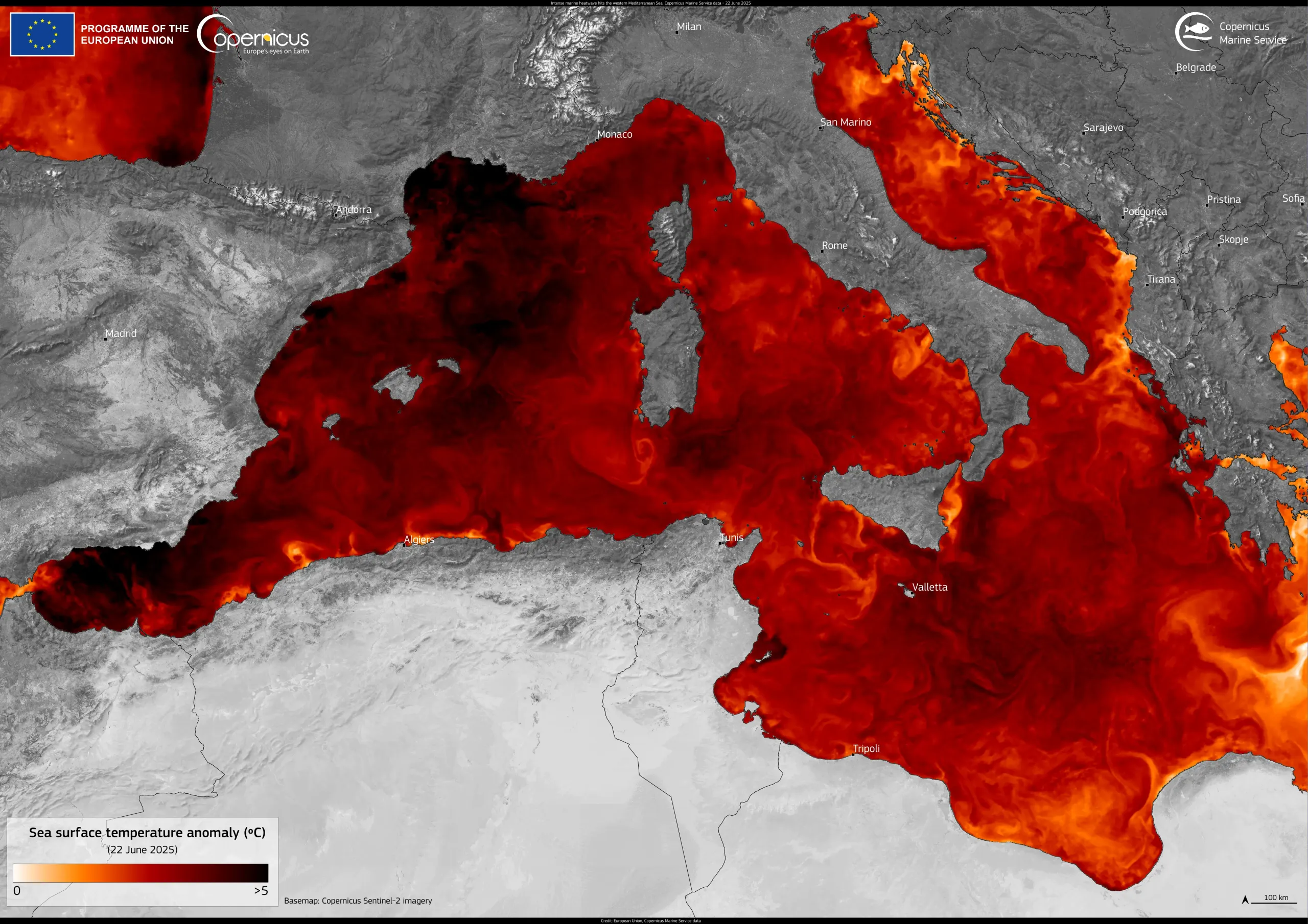 Intense marine heatwave hits the western Mediterranean Sea