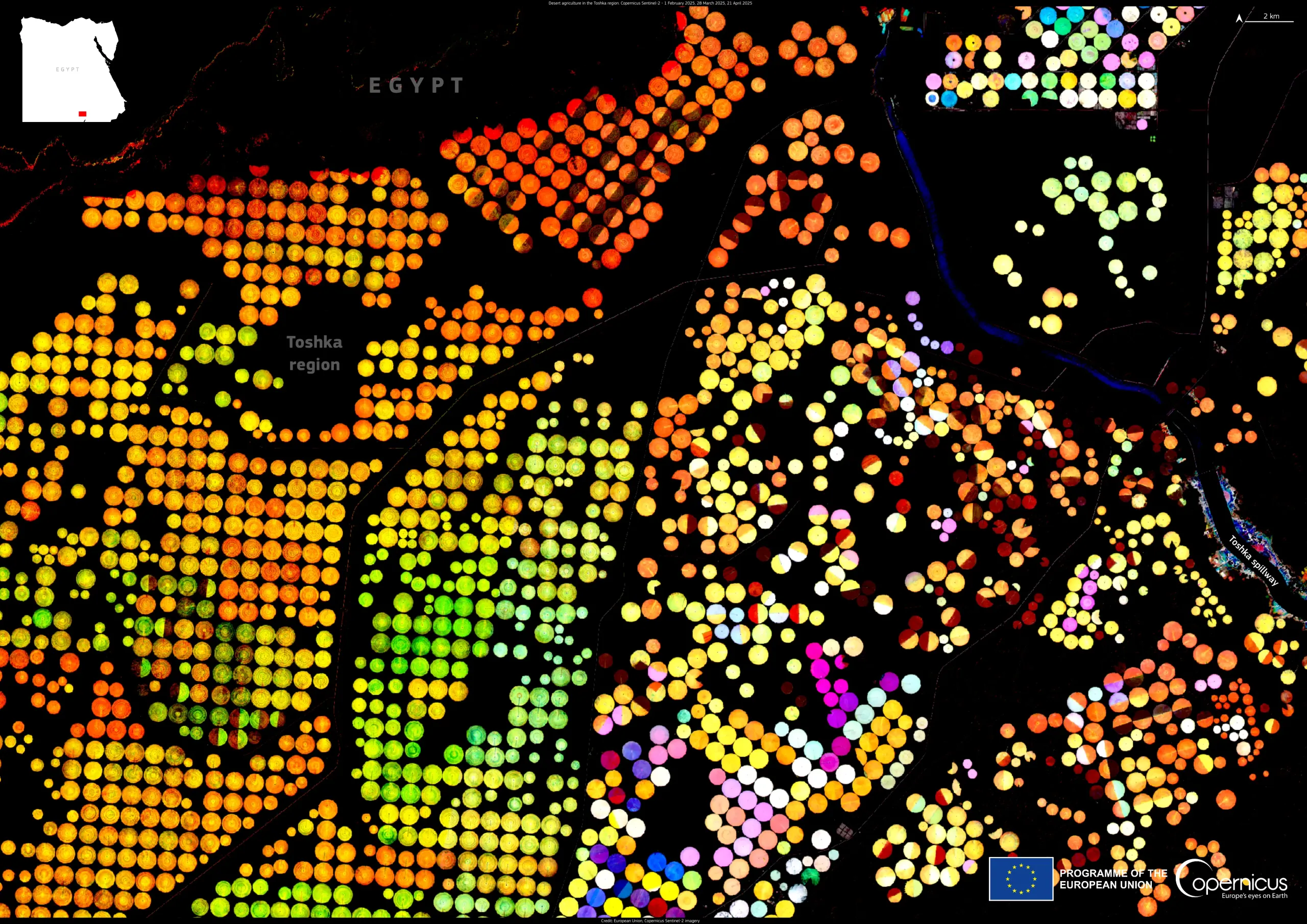 Desert agriculture in the Toshka region, Egypt