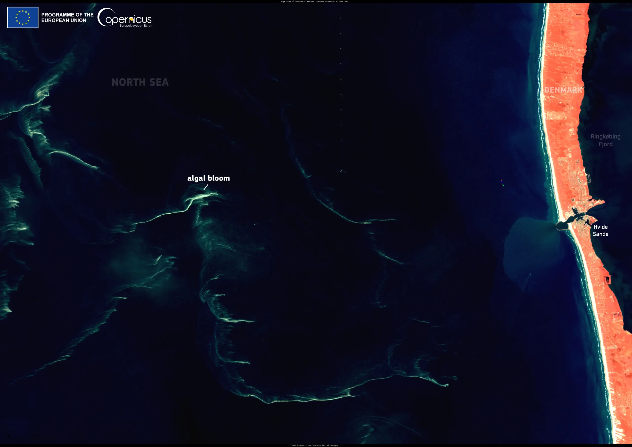 Algal bloom in the North Sea, Denmark