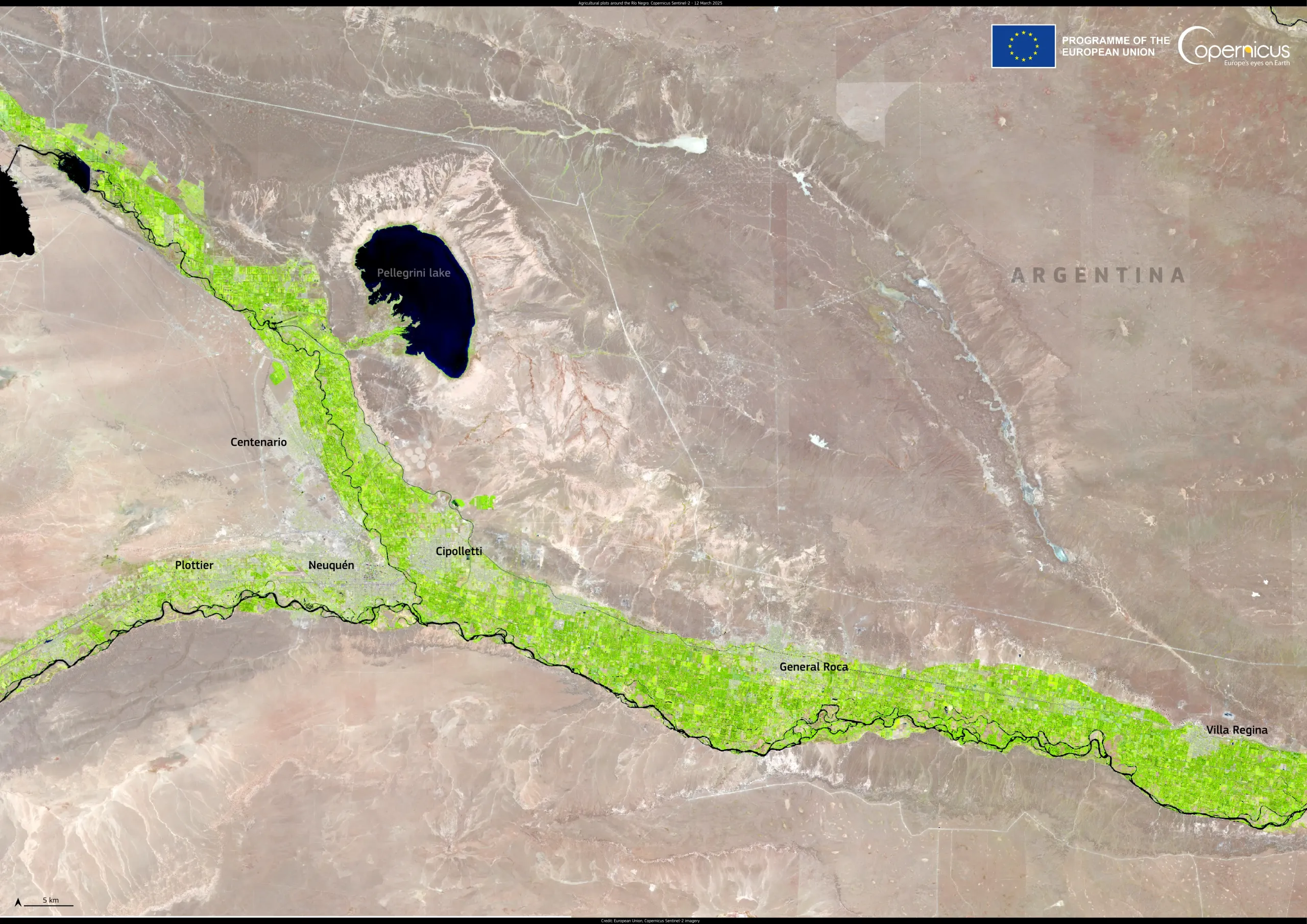This Copernicus Sentinel-2 false-colour image, acquired on 12 March 2025, shows vegetation along the Río Negro in bright green, sharply contrasting with the barren terrain around it.
