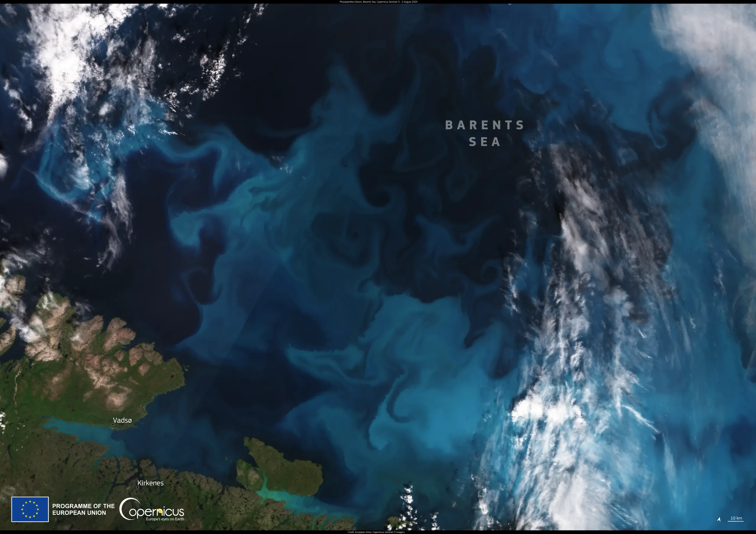 Phytoplankton bloom in the Barents Sea