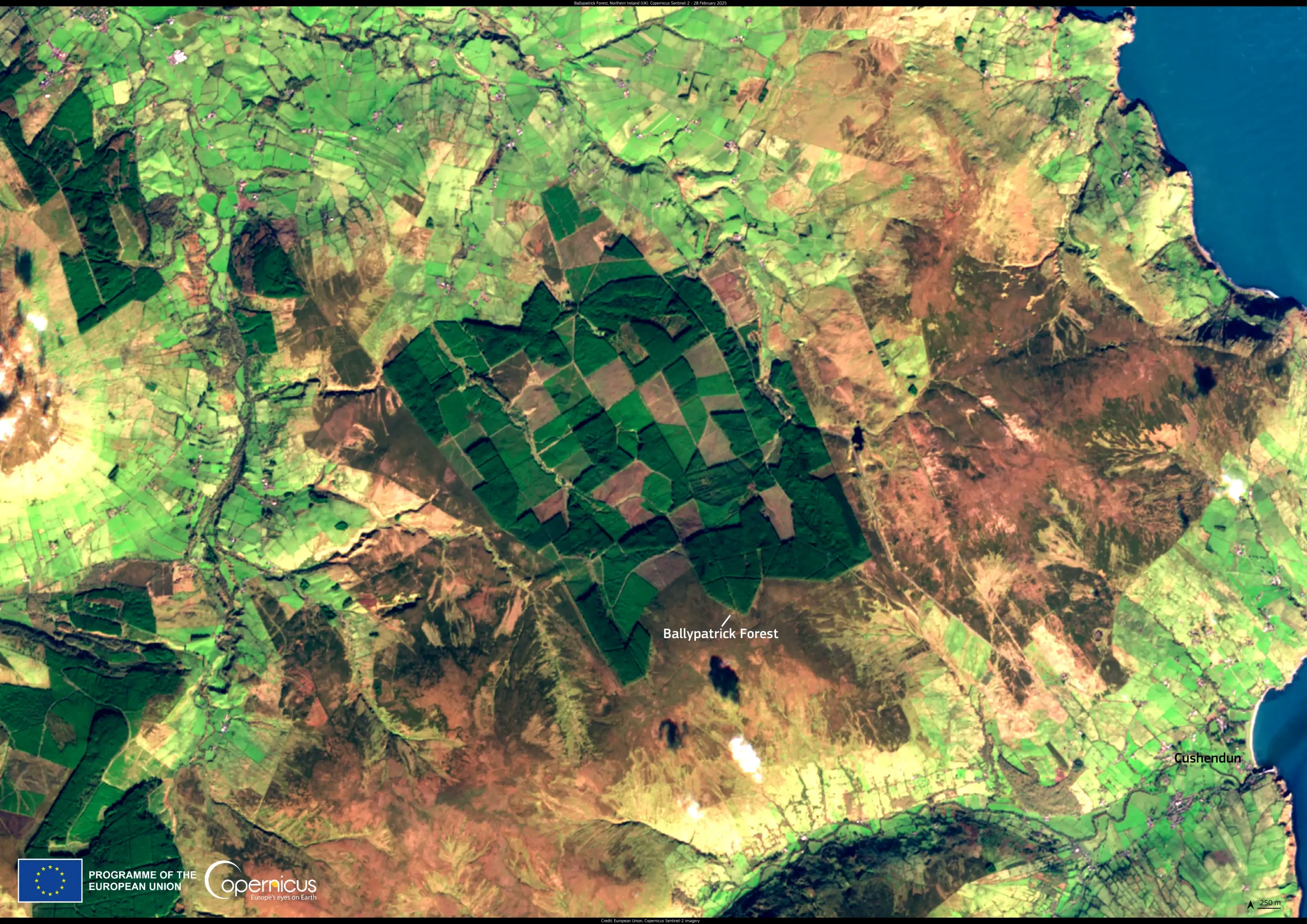 Ballypatrick Forest, Northern Ireland (UK)