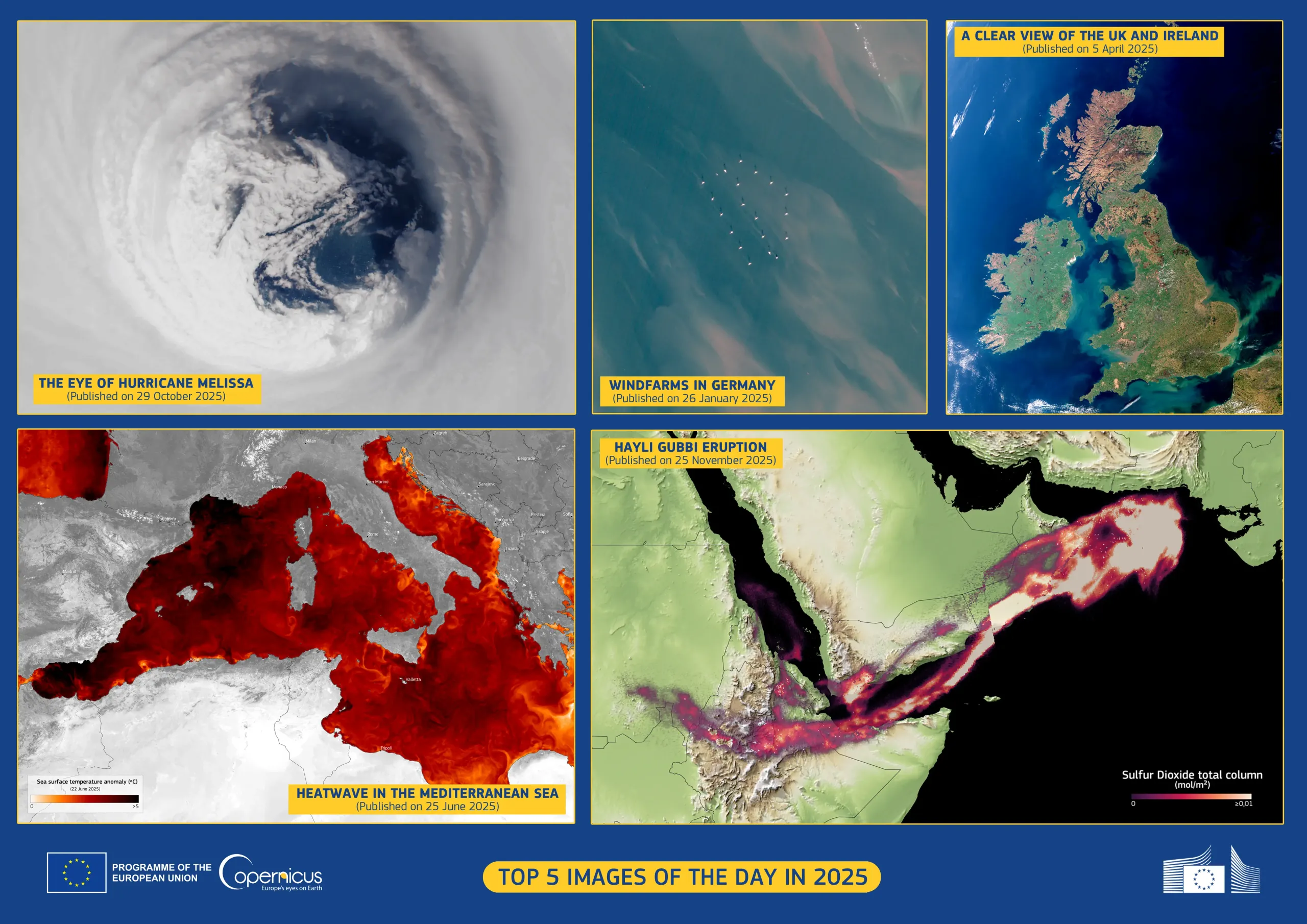 Top 5 Images of The Day in 2025