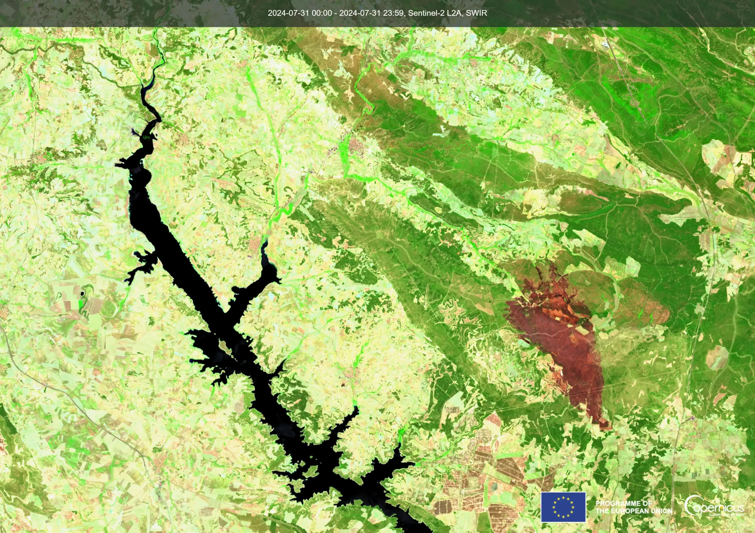 Burn scar of the recent fire in Cuenca province, Spain