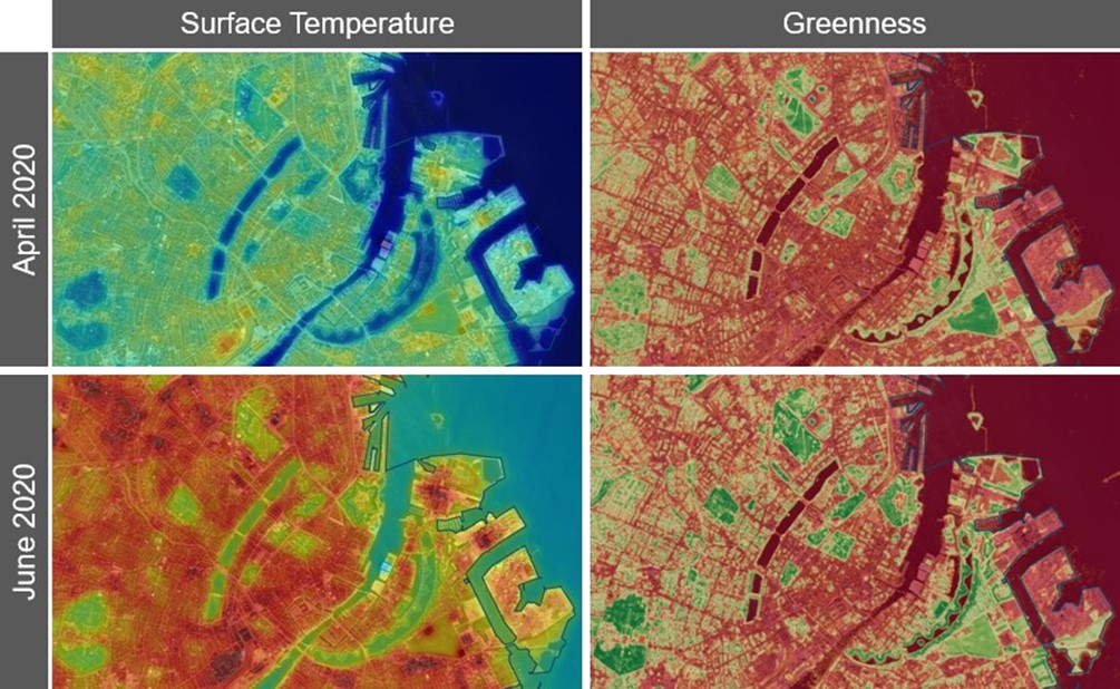 Examples of land surface temperature (left column) and greenness (right column) for the city of Copenhagen derived from EO data