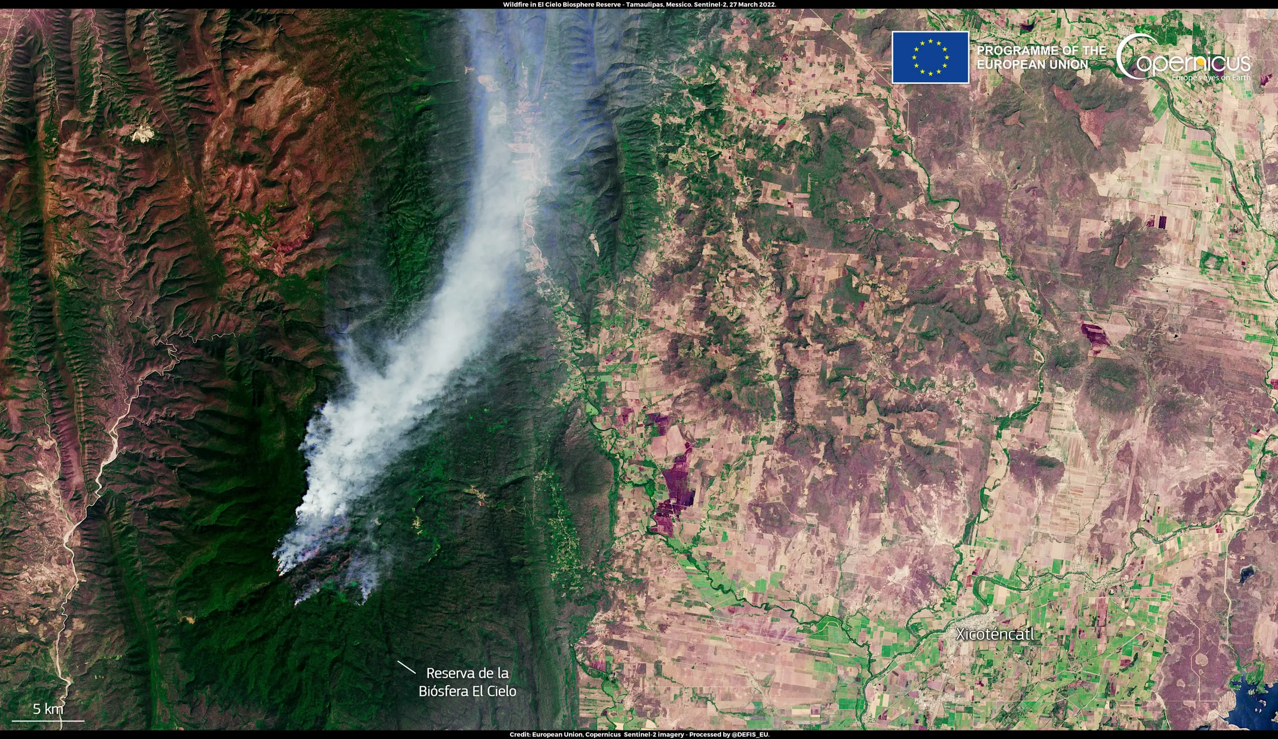 Multiple wildfires raging in Mexico 