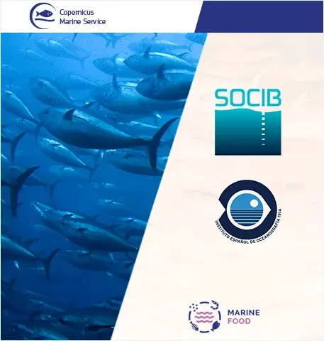 BLUEFIN TUNA MONITORING