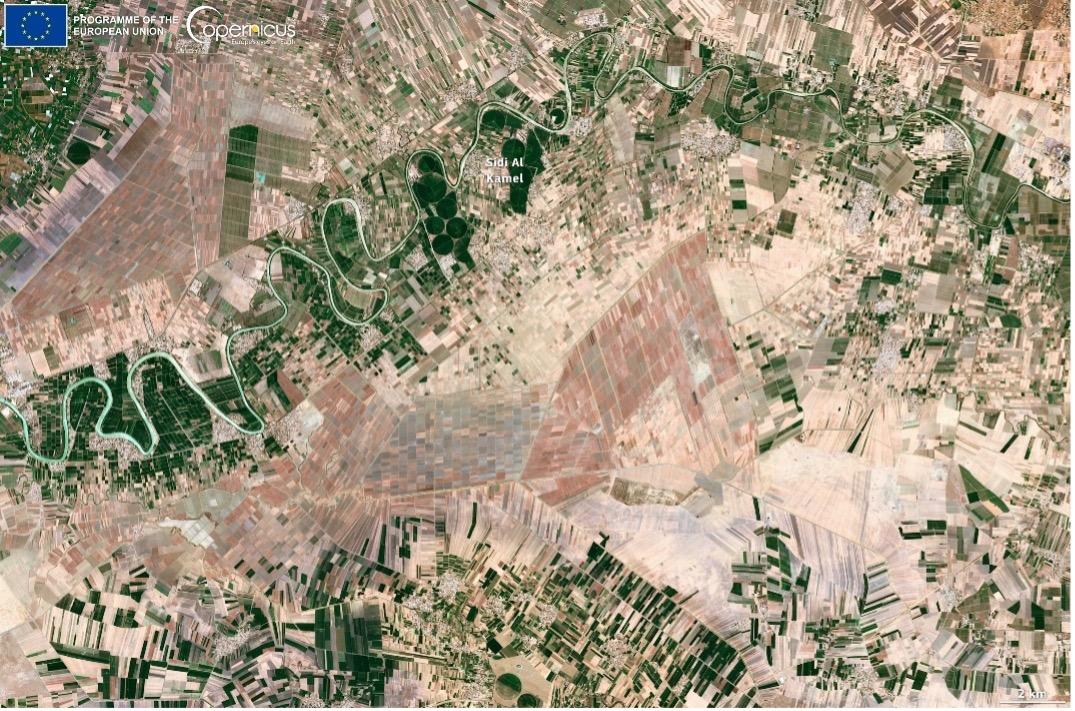 Aerial image of a desert, emphasizing a central drought-affected area with visible dry, cracked earth and sparse vegetation.