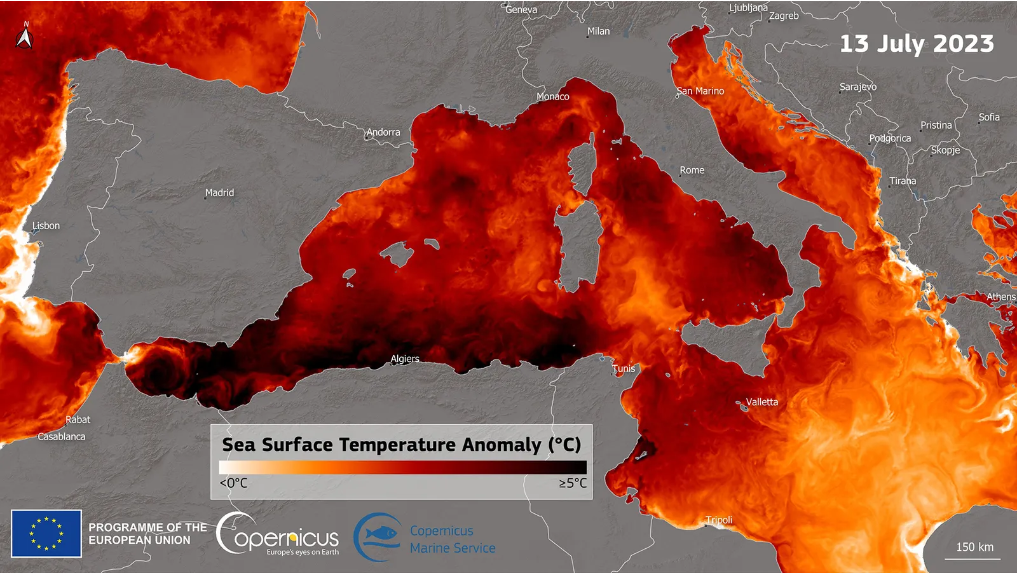 Sea Surface Temperature anomaly