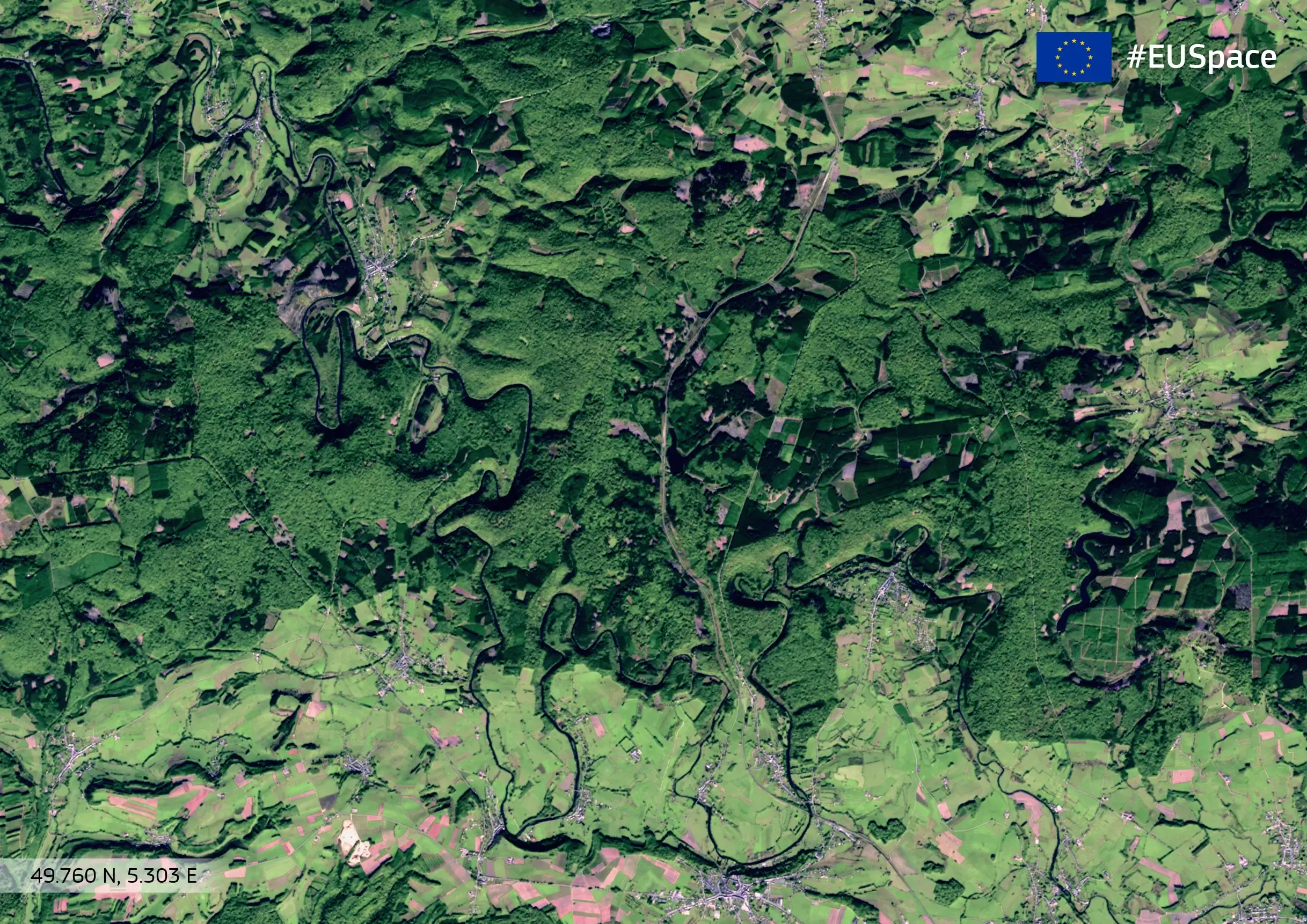 Belgium, Ardennes Forest