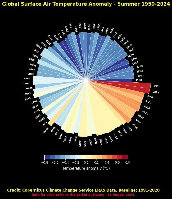 Spiral chart depicting global surface air temperature anomalies from 1950 to 2024. Warmer colors represent positive anomalies (warmer years), while cooler colors indicate negative anomalies (colder years). Data for 2024 reflects values up to August 13.